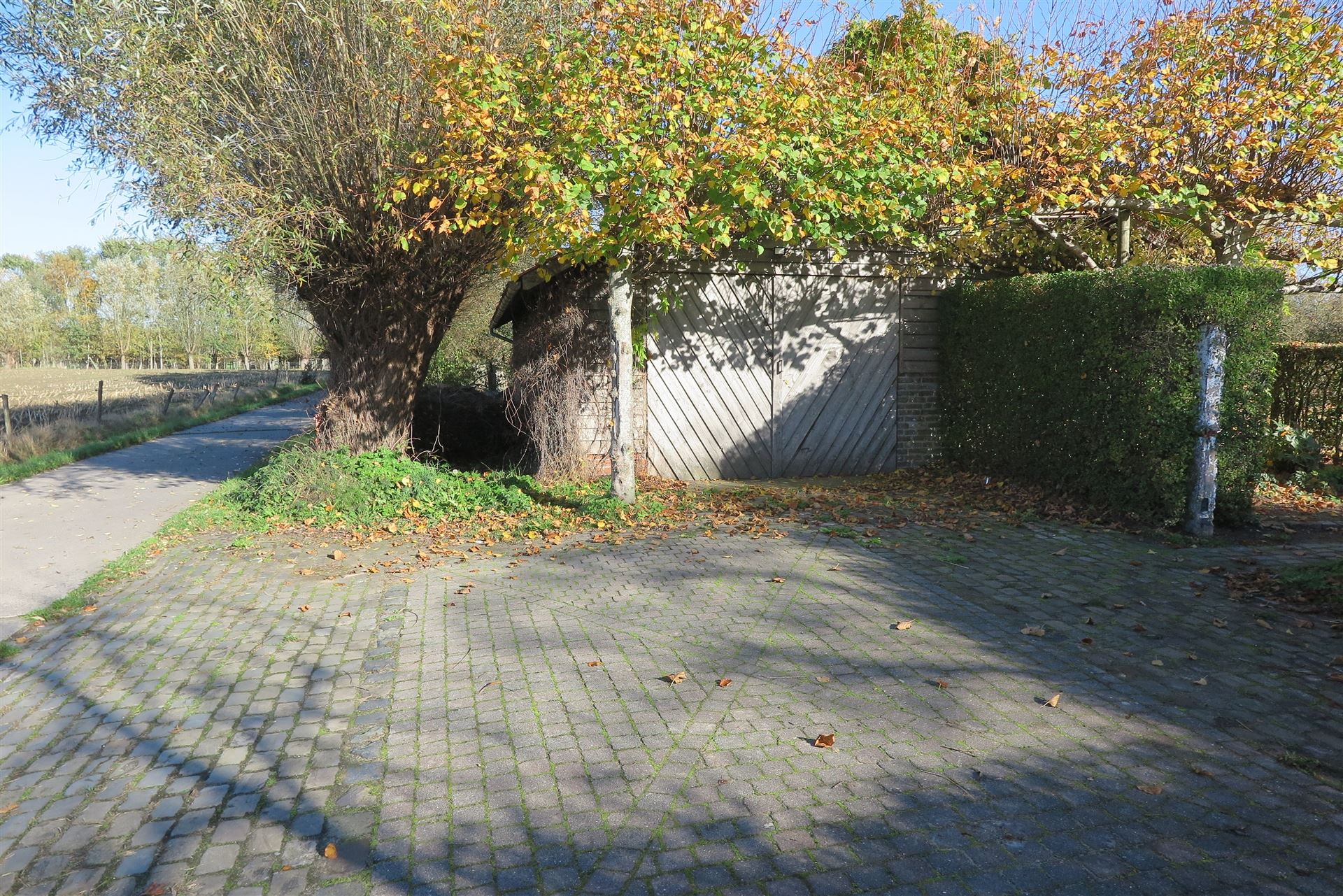 Huis foto 12