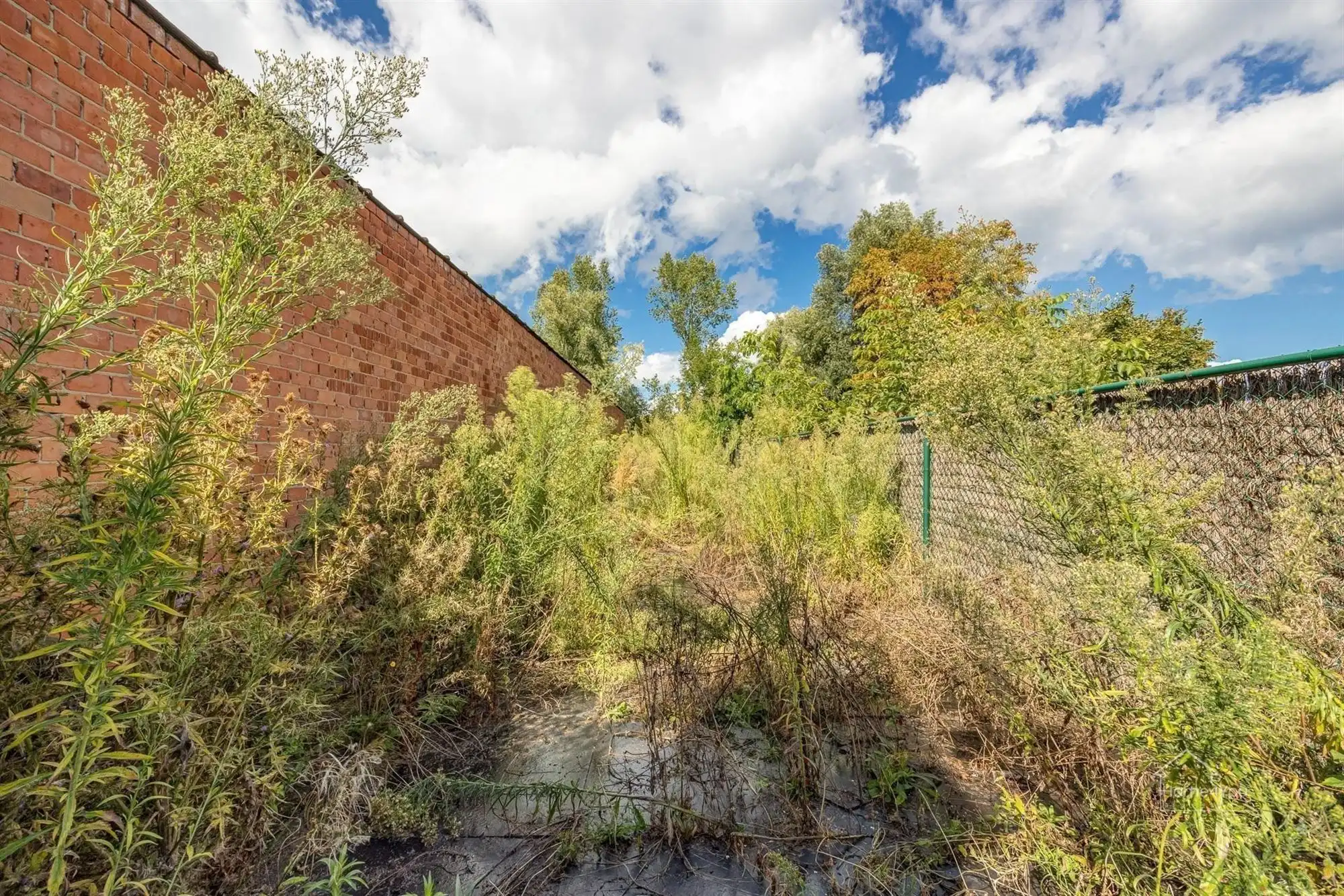 Te renoveren woning met 2 woonentiteiten + tuin foto 23