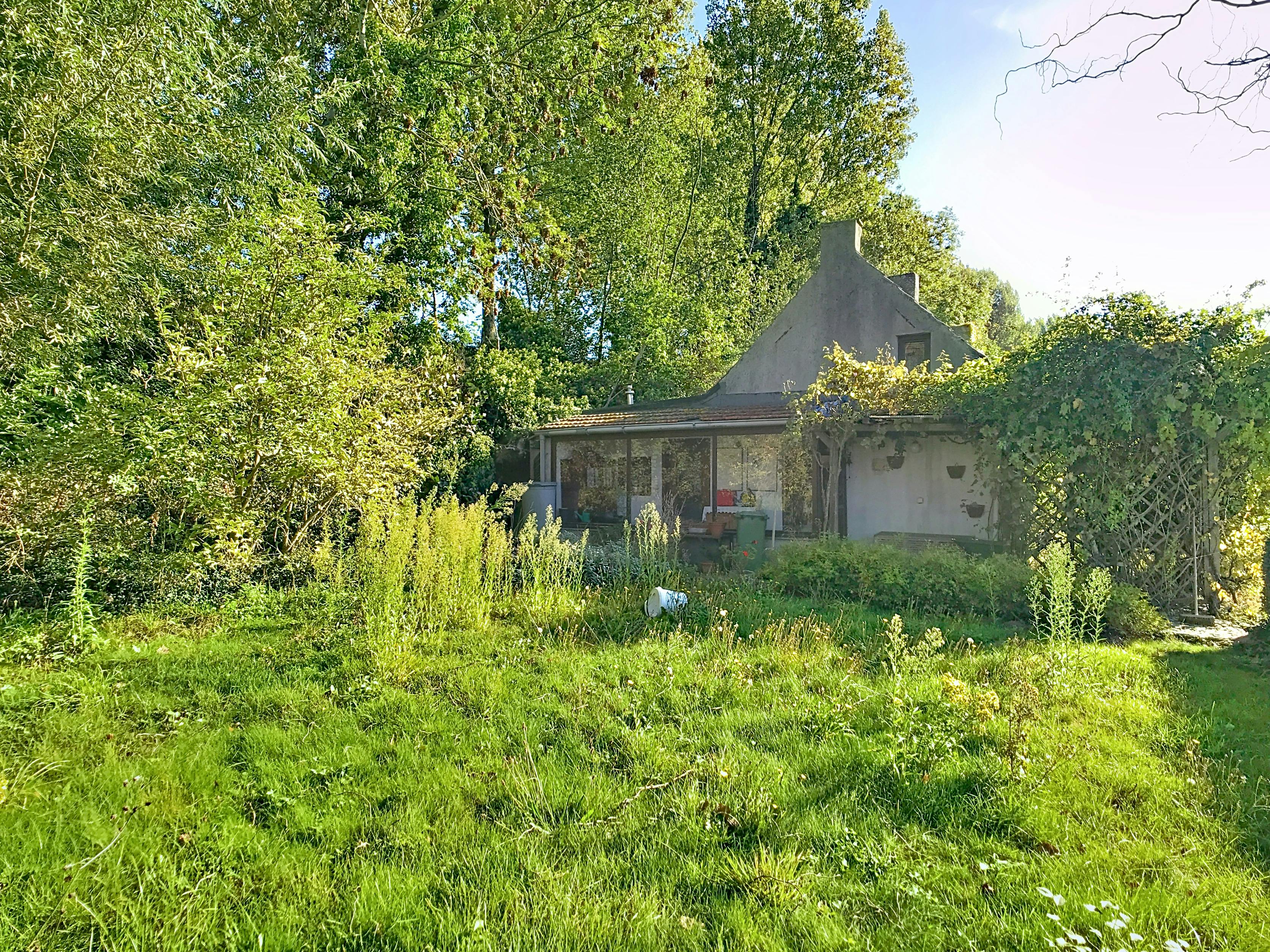 Rustig gelegen huis of vakantiewoning te Kieldrecht (Beveren) foto 2