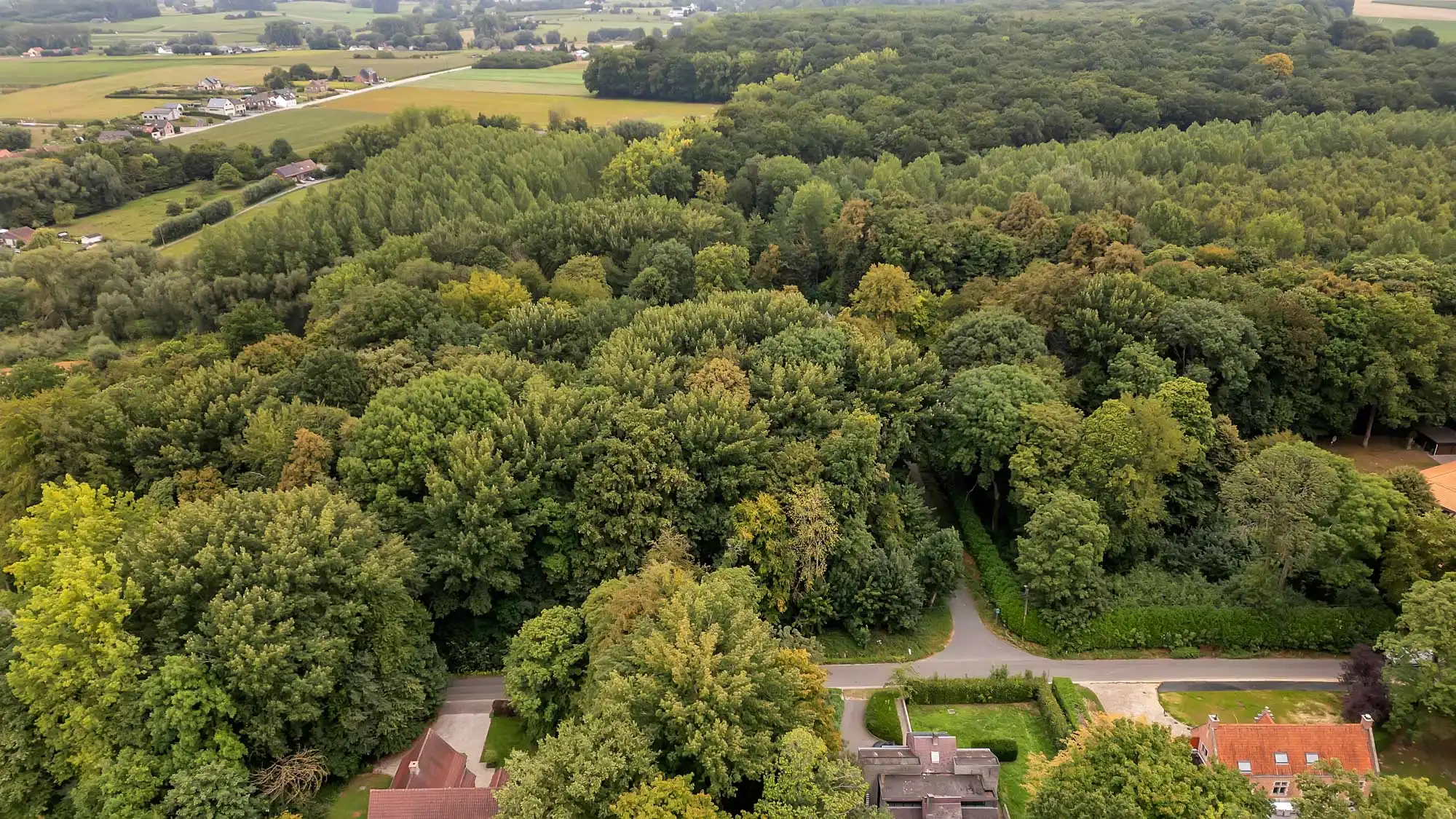 Exclusieve bouwgrond te koop in Lettelingen! foto 2