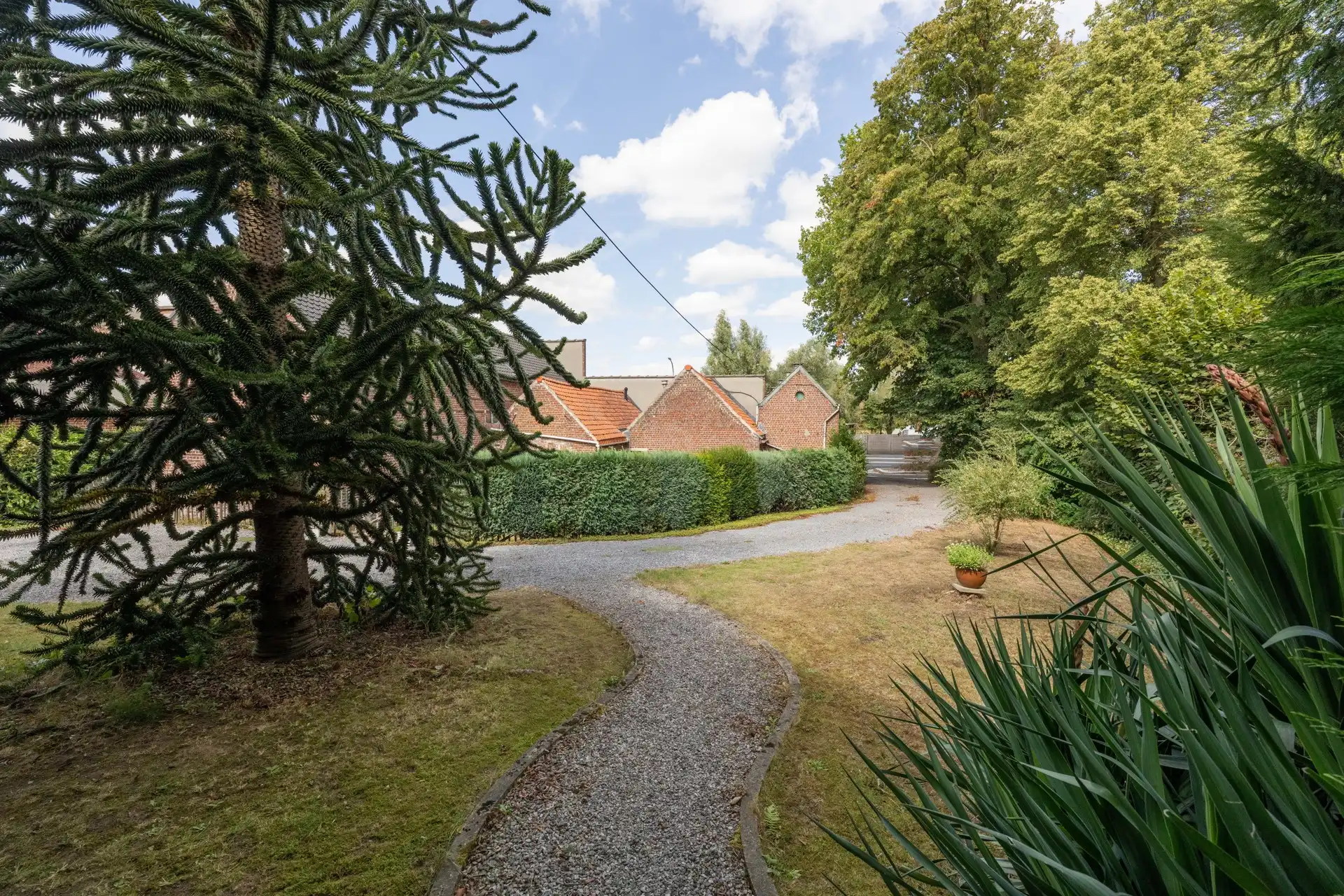 Charmante, op te knappen, statige villa met 3 slaapkamers en garage op een ruim perceel gelegen in het groen TE KOOP in Wielsbeke. foto 31