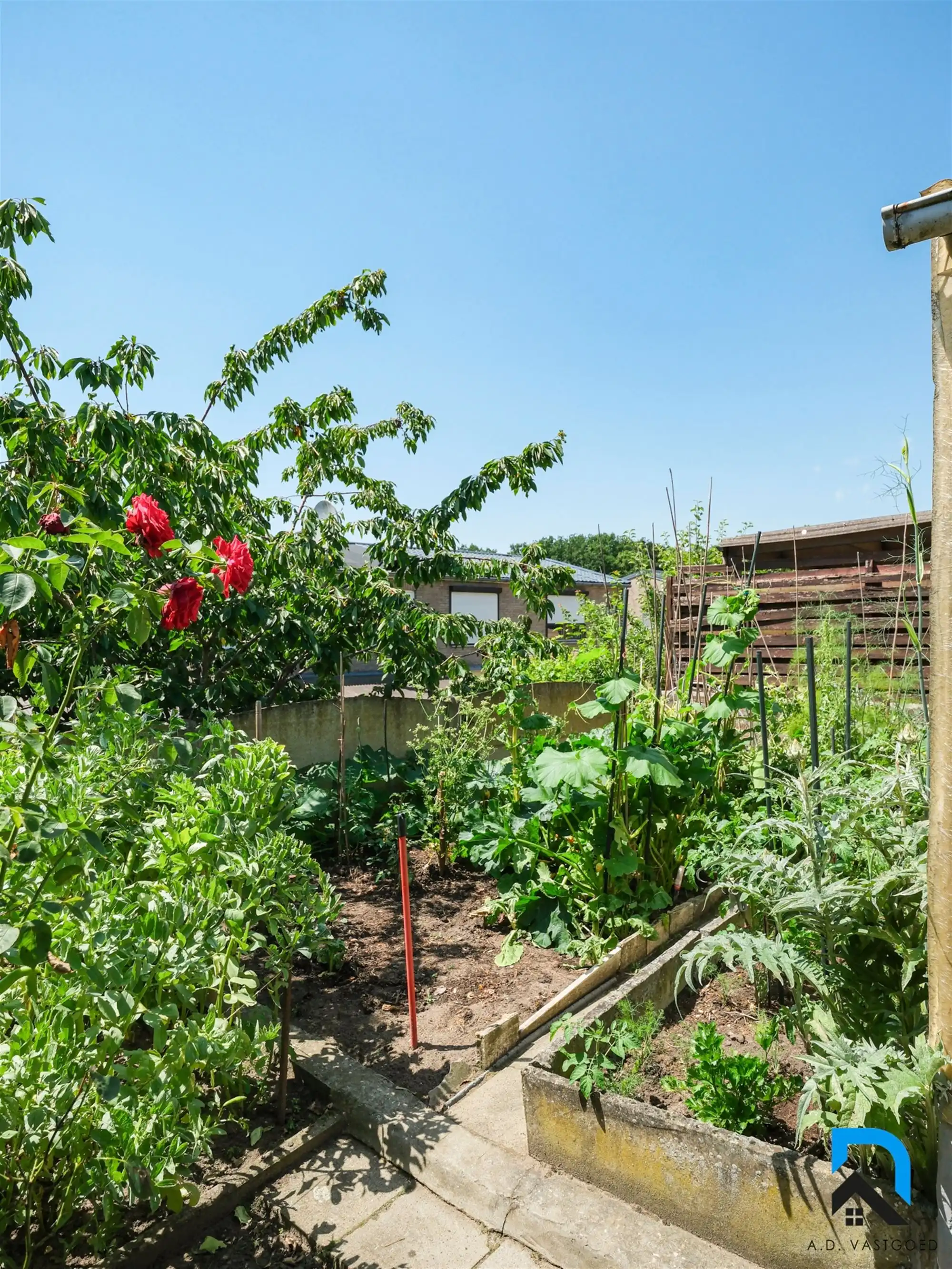 Mooie woning in aangename buurt foto 18