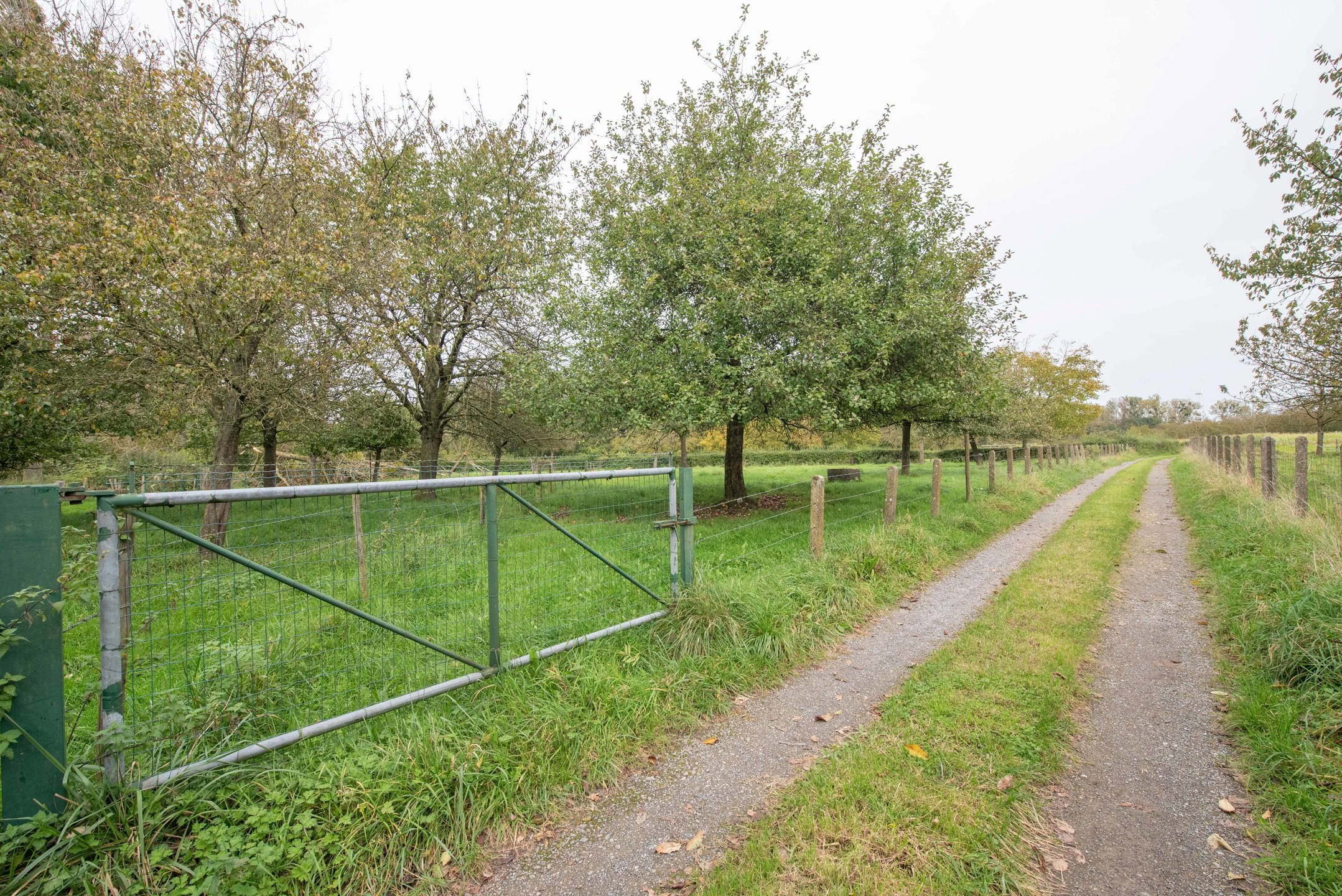 OB op een royaal perceel van 22a36ca te Membruggen foto 27