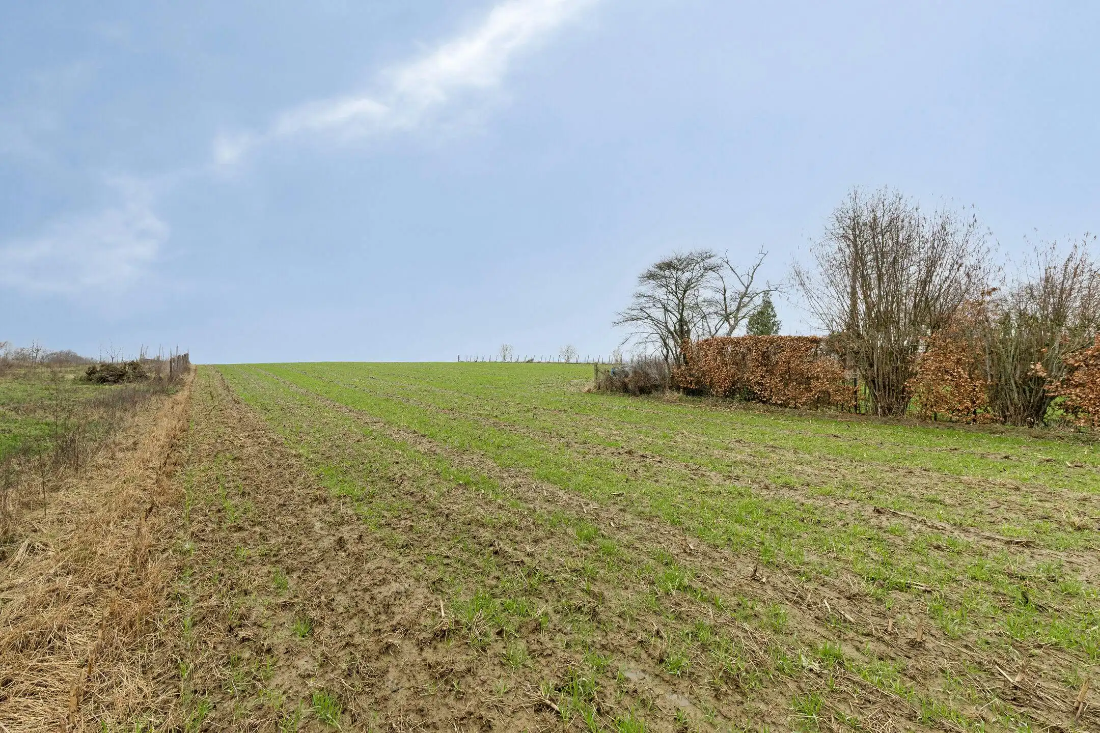 Unieke bouwgrond met verzicht te koop in Brakel foto 7
