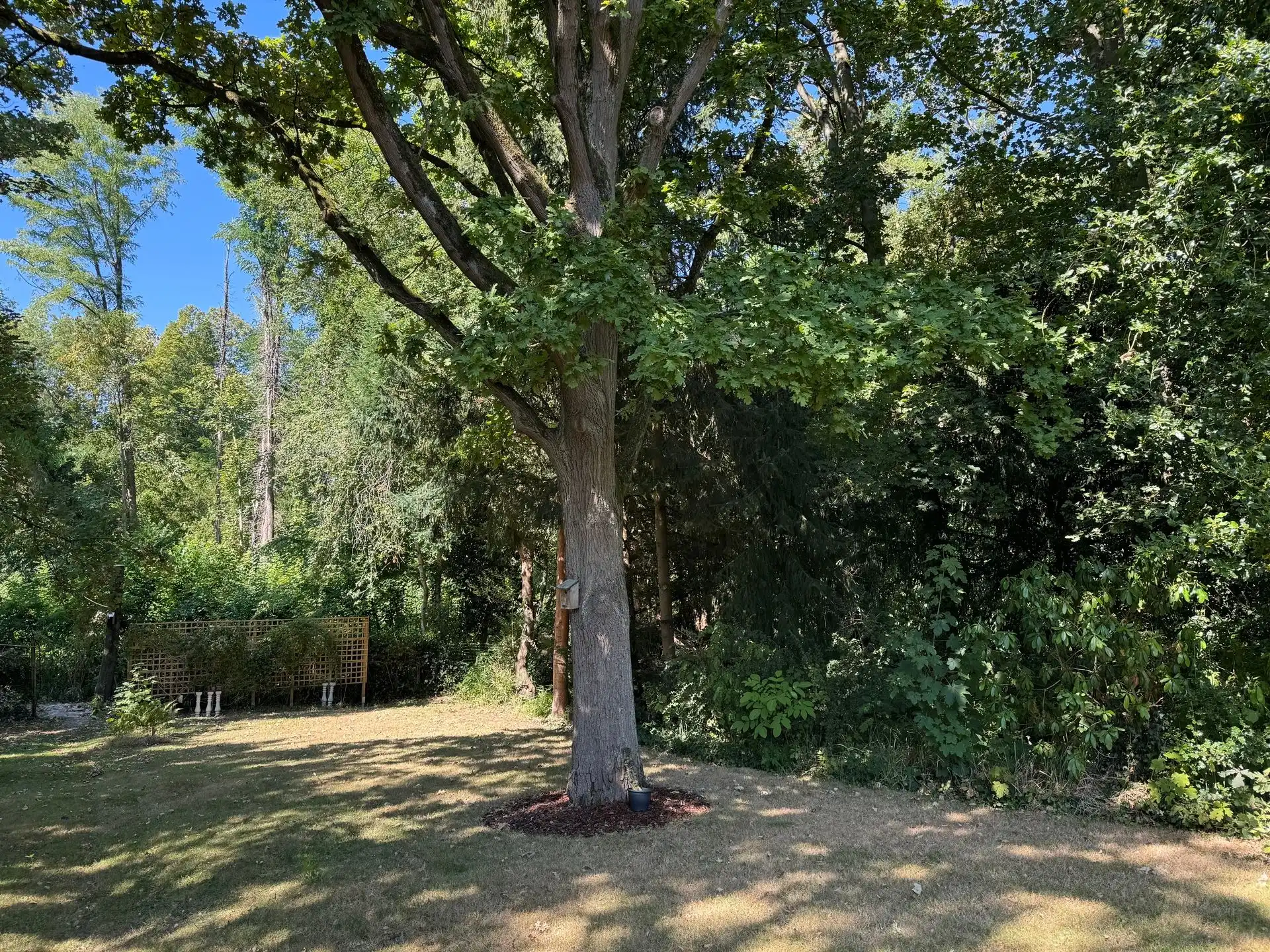 Huis foto 32