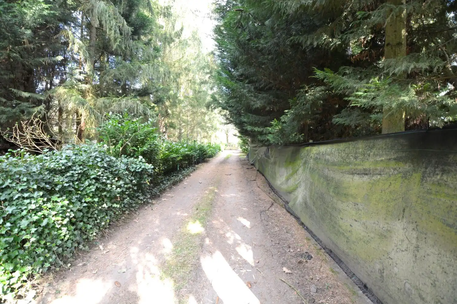 PERCEEL RECREATIEGROND VAN 1.610 m²! foto 3