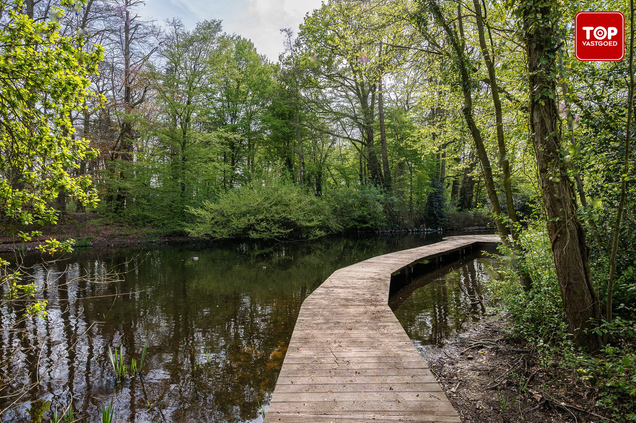 Instapklaar 2-slaapkamer appartement met groot terras en zicht op een prachtig park. foto 16