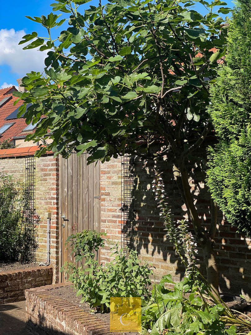 charmante stadswoning met flinke tuin en fietsenpoortje, rustige ligging op St Gillis foto 19