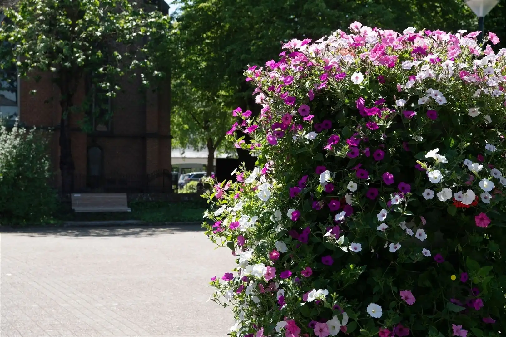 Beleef luxe, comfort en energiezuinigheid in een karaktervolle architectuur. foto 34