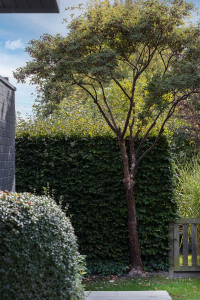 Unieke laagbouwwoning met volledige privacy in Lendelede foto 13