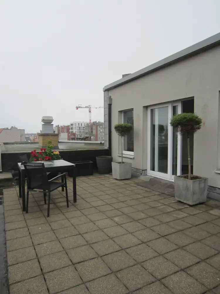 RESIDENTIE ORCHIDEE foto 19