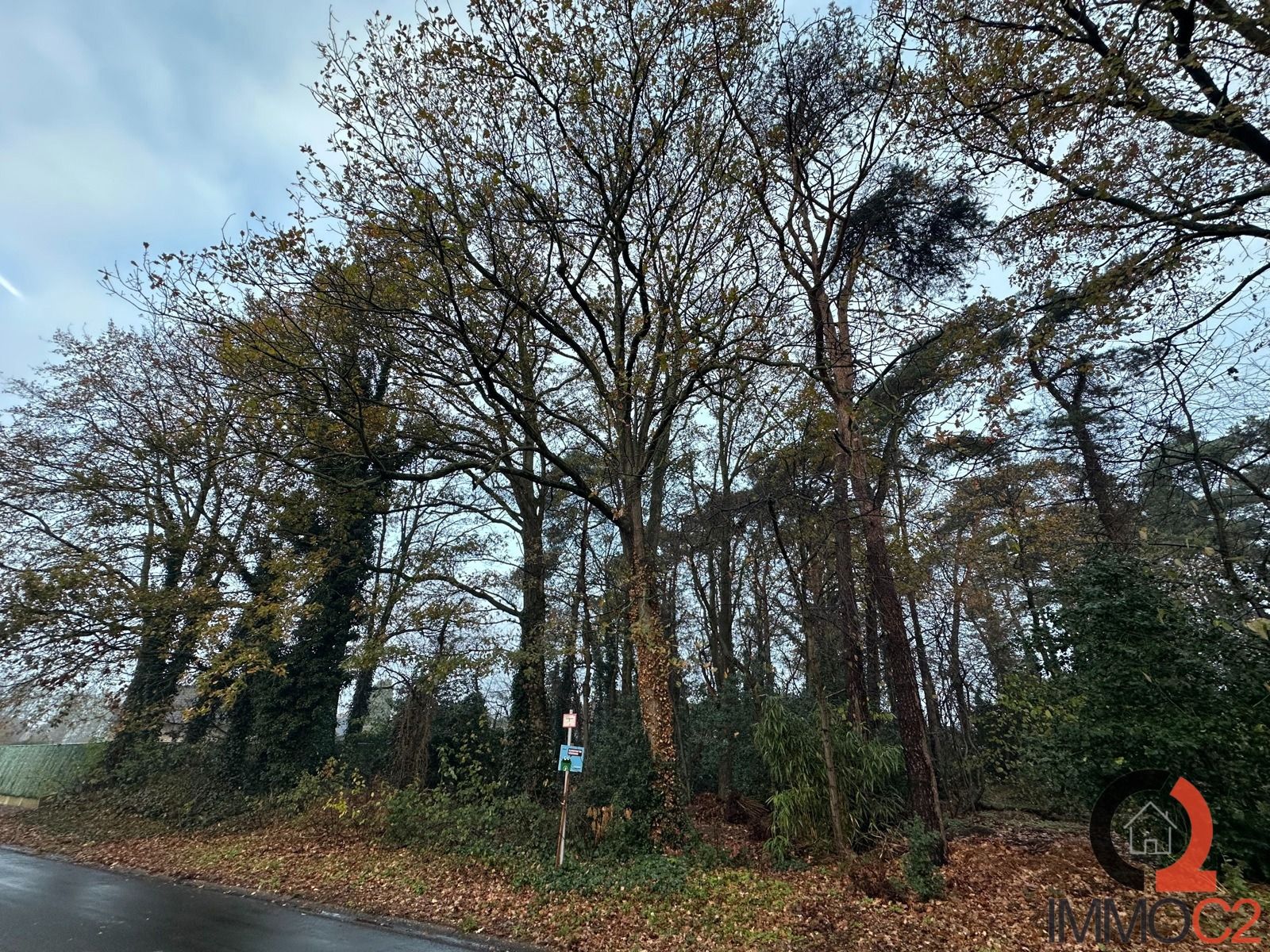 Grond te koop foto 4