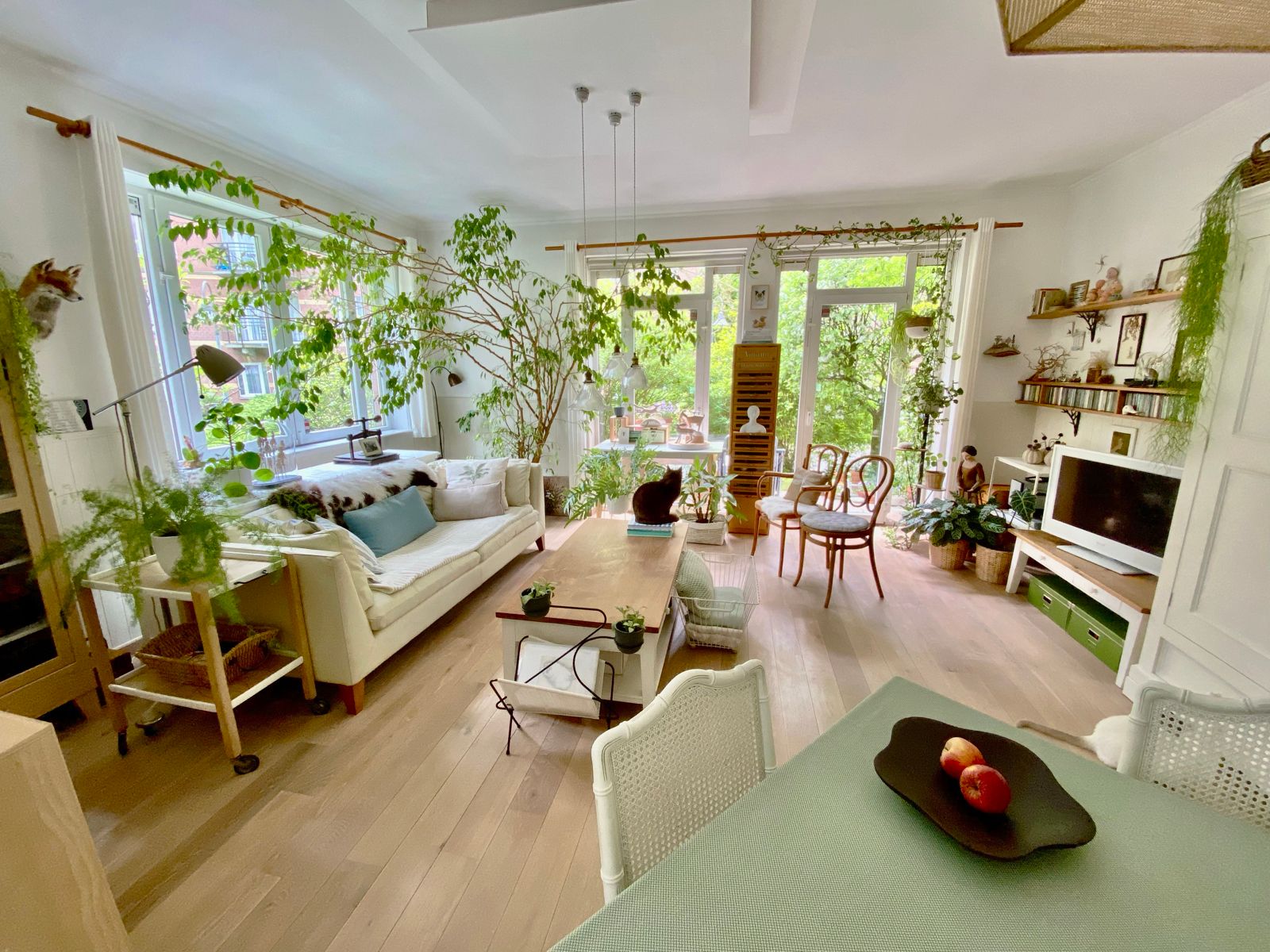 Lichtrijk gelijkvloers appartement met tuin  foto {{pictureIndex}}