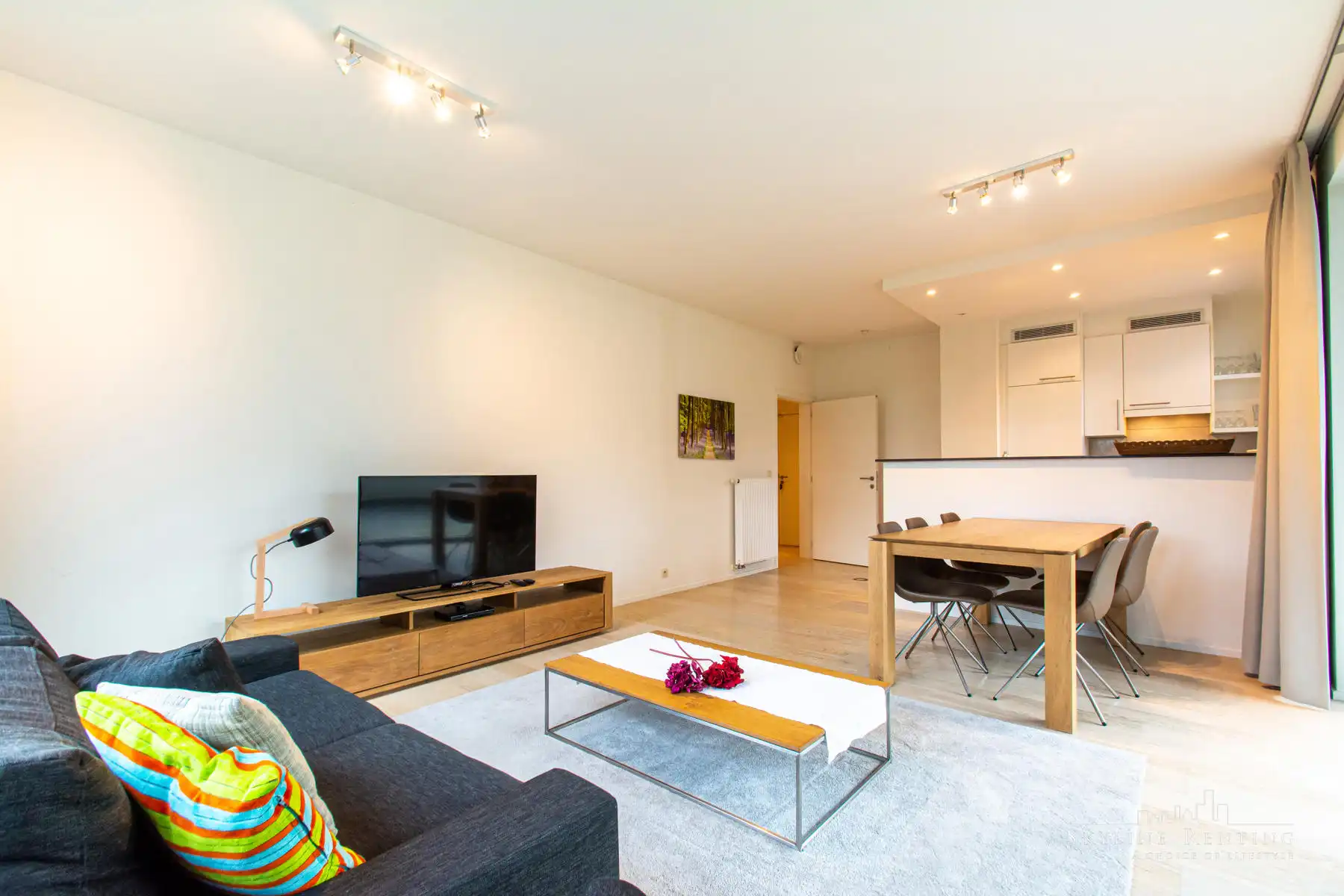 Fantastisch gemeubeld 3 kamers appartement (Ter Kameren Bos) foto 5