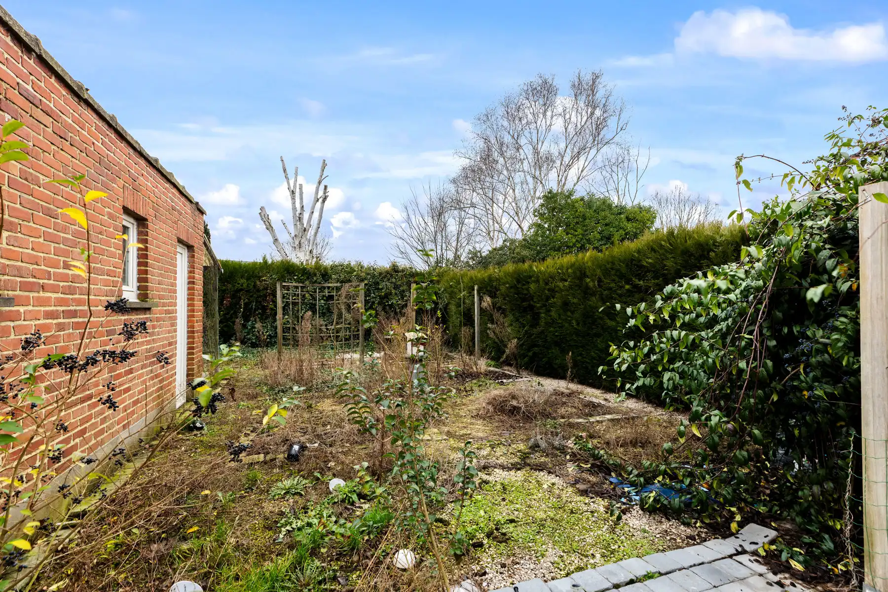 Karaktervolle gezinswoning met potentieel en zonnige tuin. foto 16