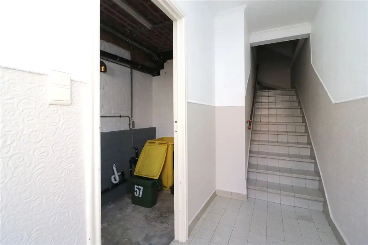 charmant, ruim, mogelijkheid beroep of kangoeroe foto 25