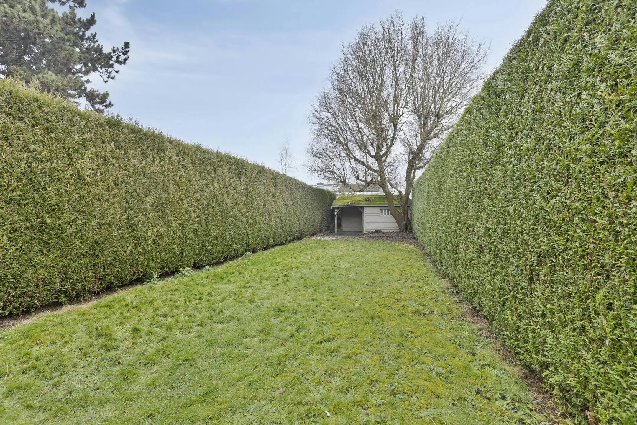 Instapklare bel-etage met 4 kamers te koop in Beveren-Leie foto 15