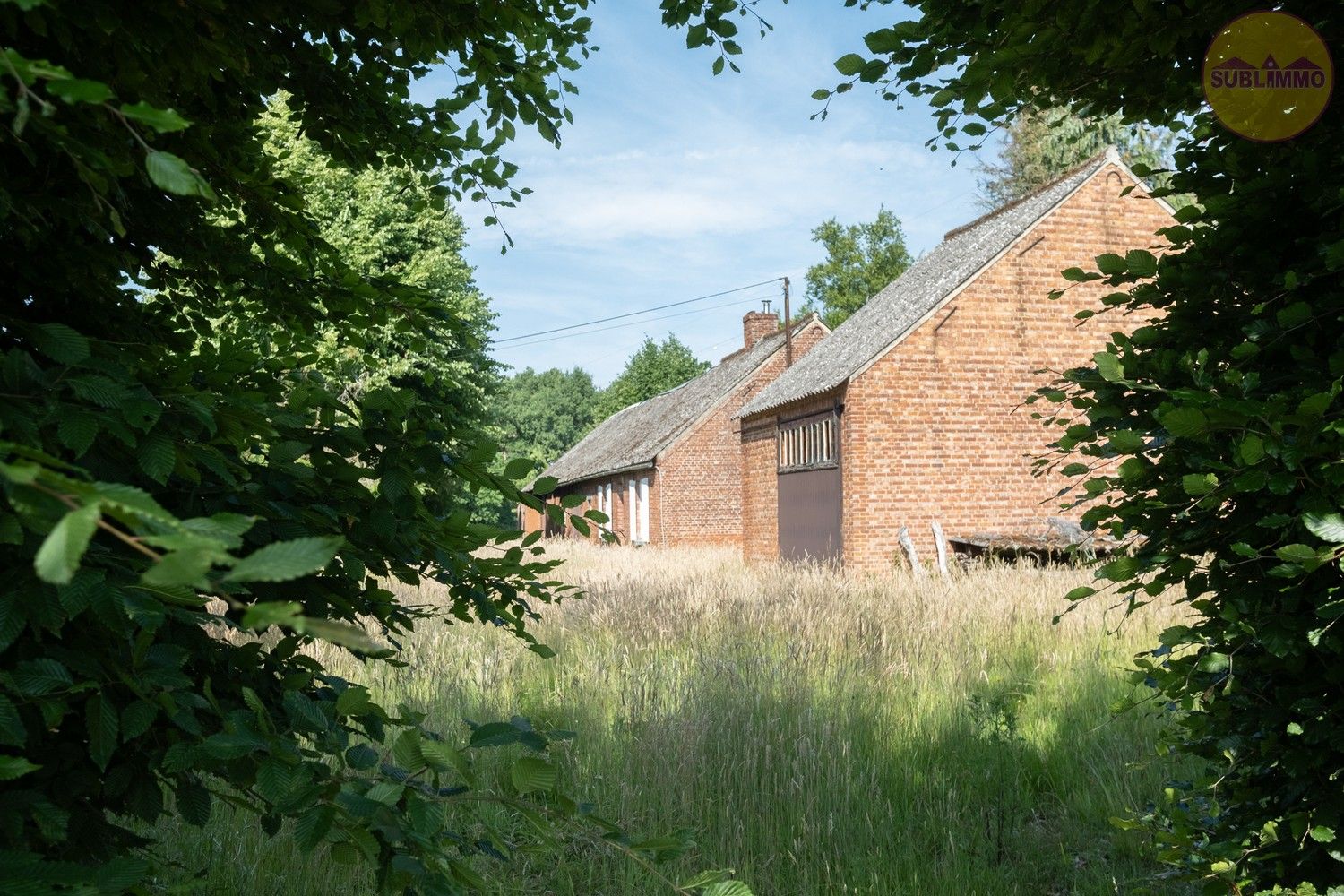 Te renoveren langgevelhoeve op unieke locatie in Balen – 18.729 m² grondoppervlakte foto 25
