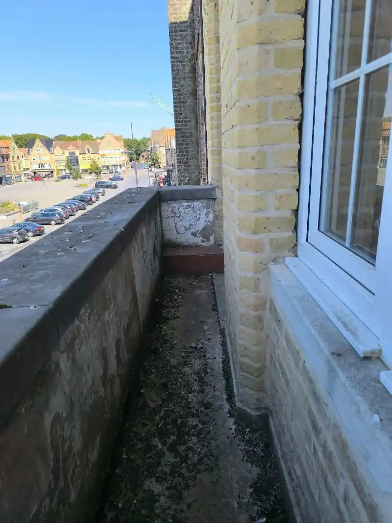 Investeringseigendom foto 15
