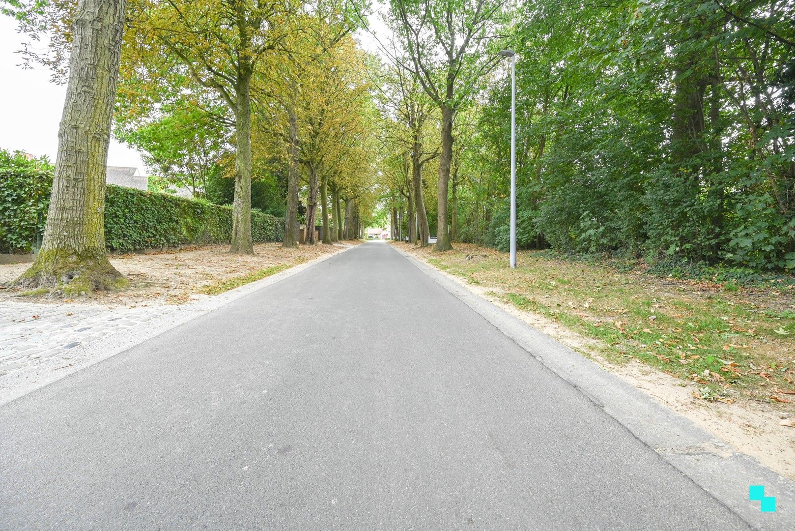 Exclusieve bouwgronden in residentiële laan te Wielsbeke foto 5