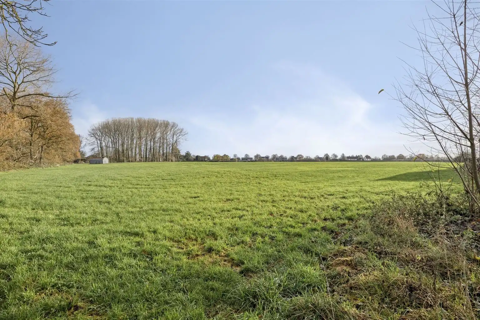 Gelijkvloerse, vrijstaande woning met 3 slaapkamers, omheinde tuin en garage op een rustige locatie nabij het centrum van Maaseik. foto 23