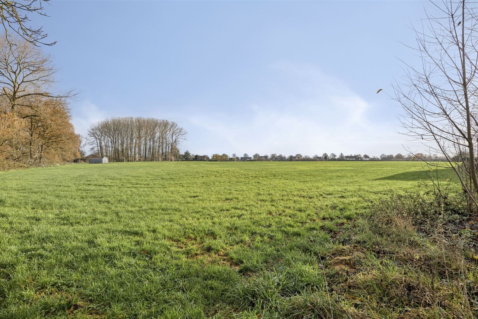 Gelijkvloerse, vrijstaande woning met 3 slaapkamers, omheinde tuin en garage op een rustige locatie nabij het centrum van Maaseik. foto 23