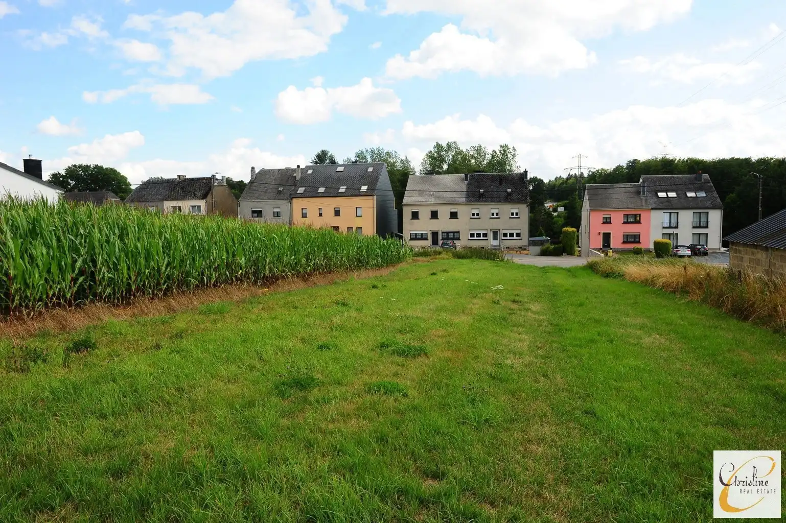 HEINSCH (ARLON) – PROJECTGROND CA. 3.388 M² MET RESIDENTIEEL ONTWIKKELINGSPOTENTIEEL foto 4