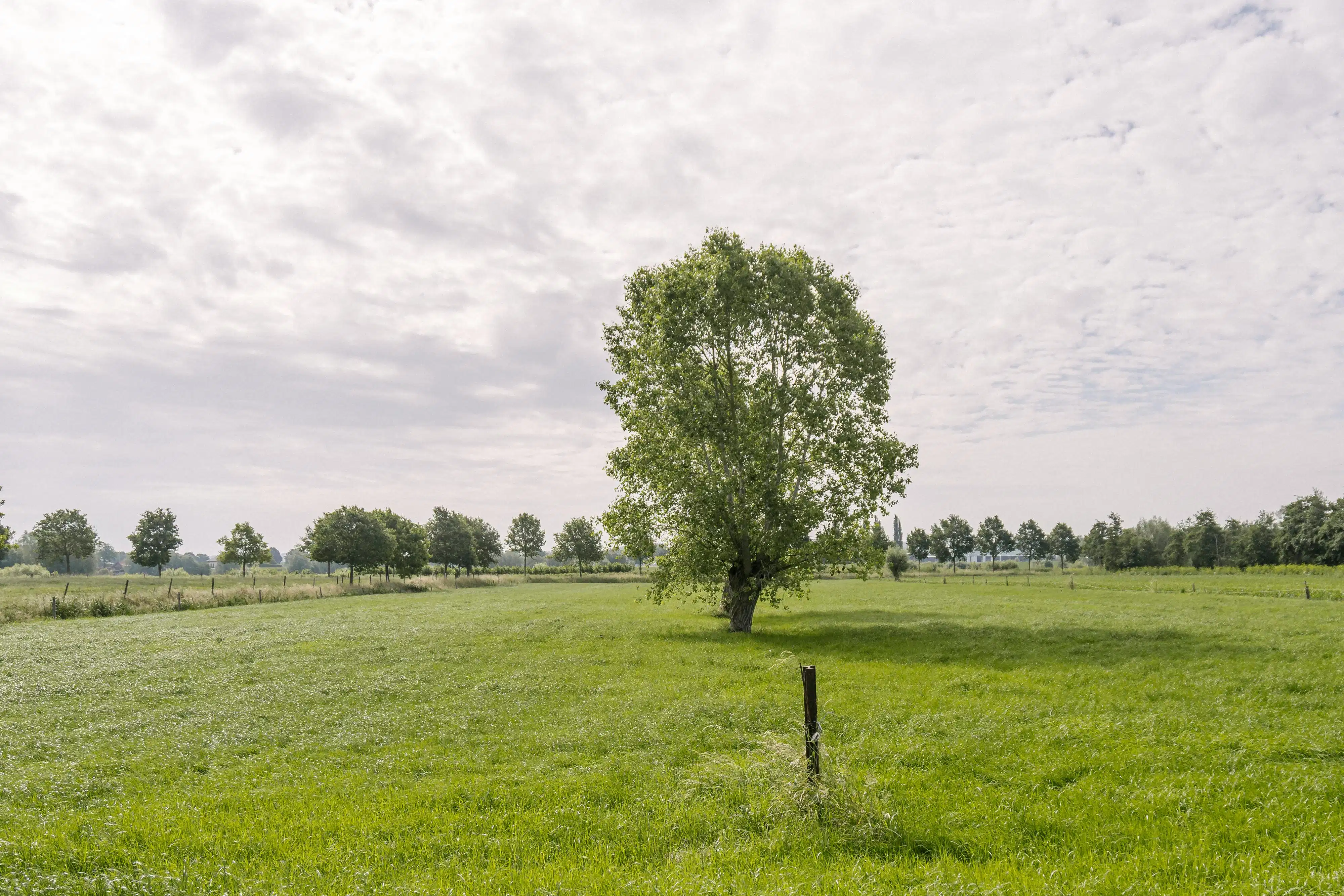 Hoeve op uitstekende locatie te koop in Kerkhove (Avelgem) foto 13