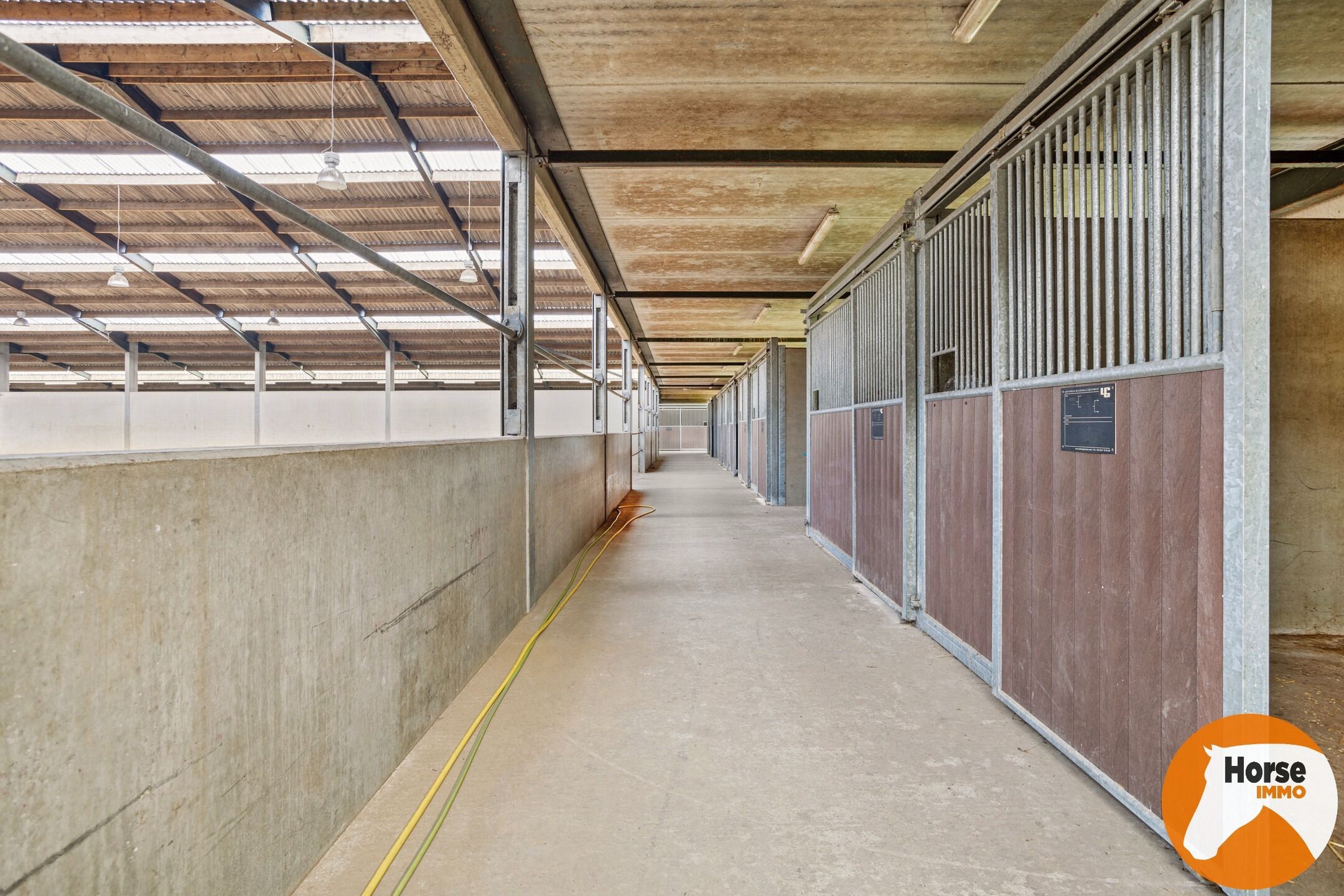 JABBEKE - Luxueuze paardenaccommodatie met woning foto 9