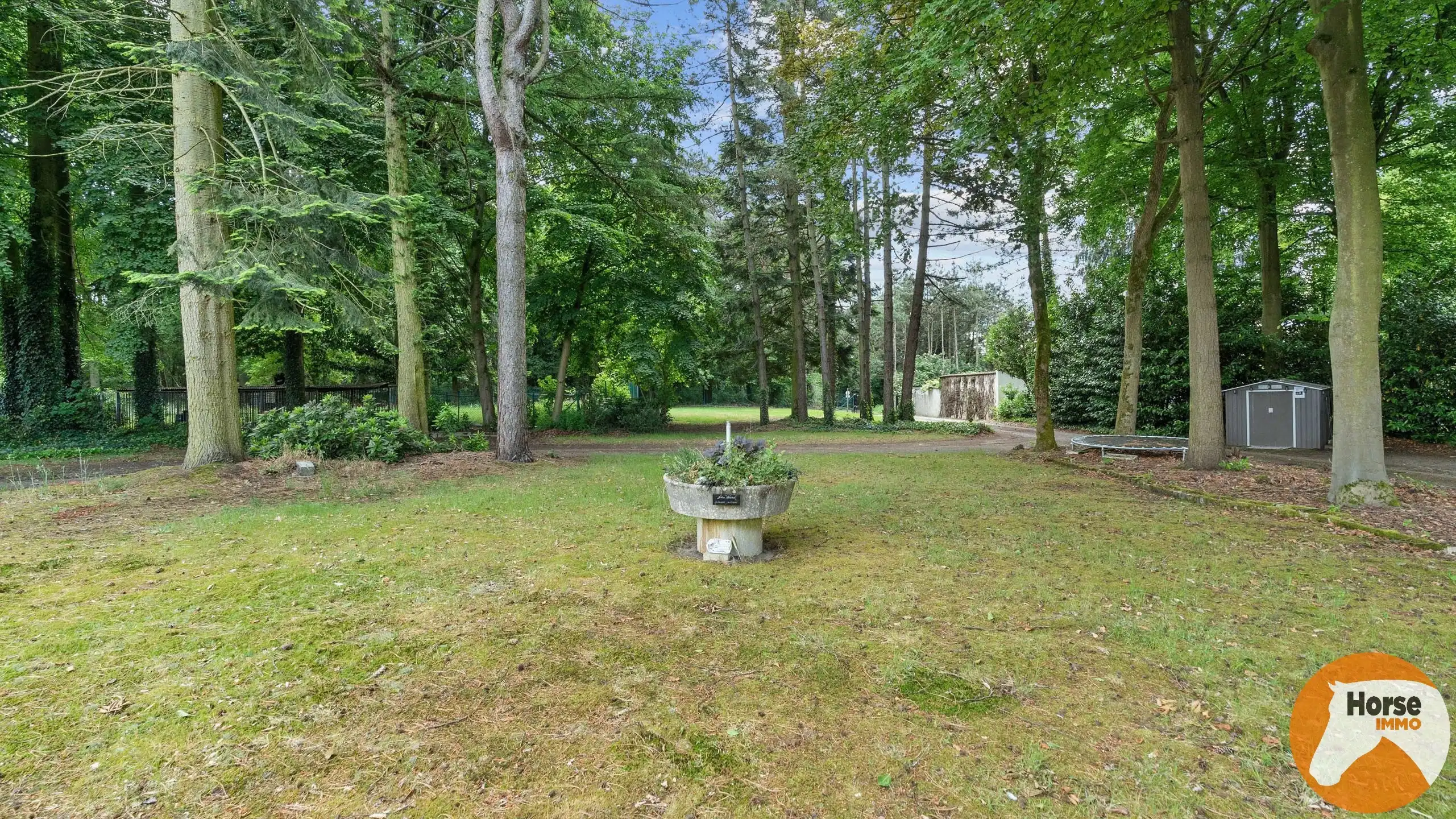 BERINGEN - Imposante woning op +/-30a + te renoveren woning foto 28