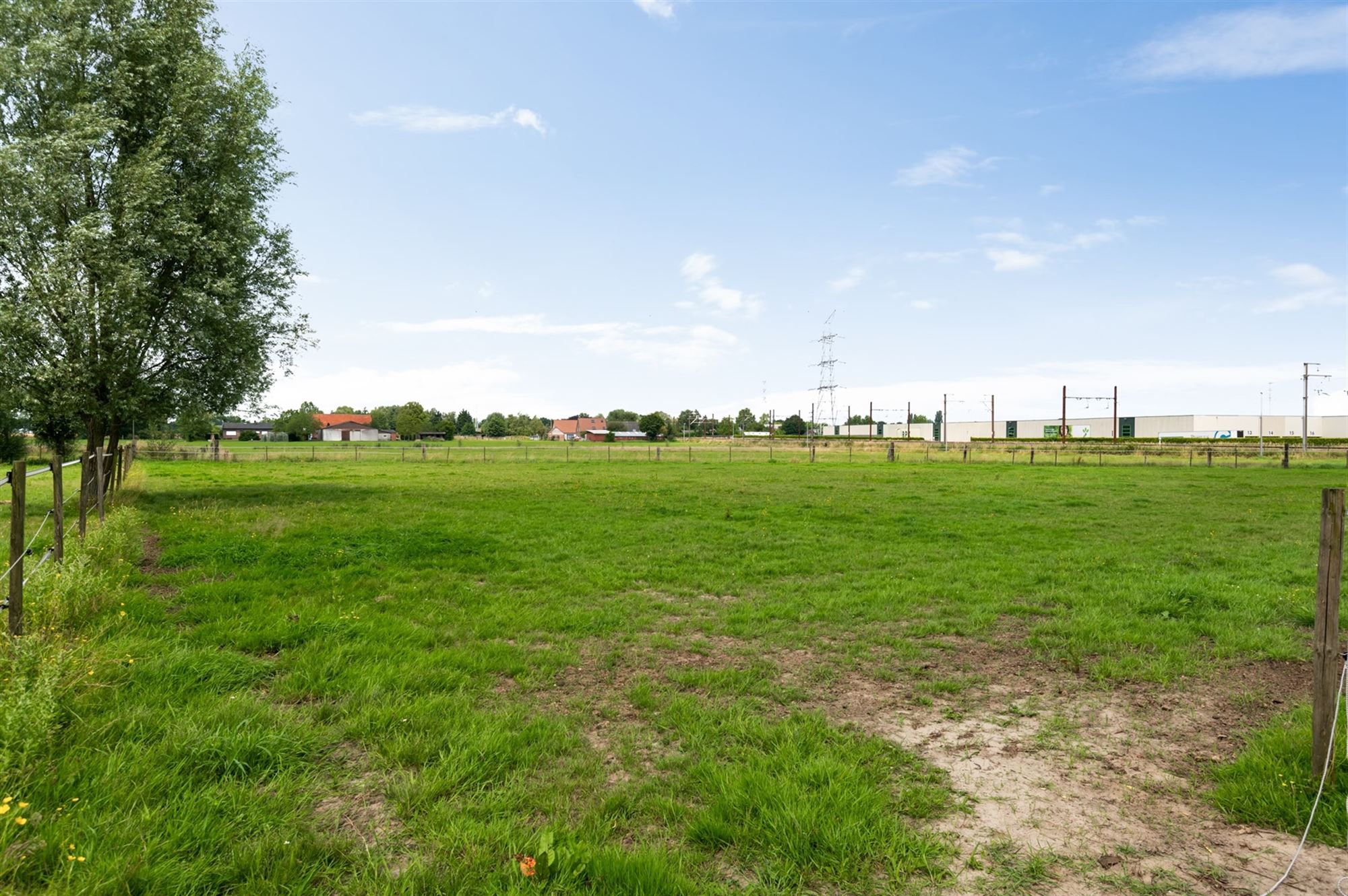 Prachtige paardenweide met stallen en piste foto 20