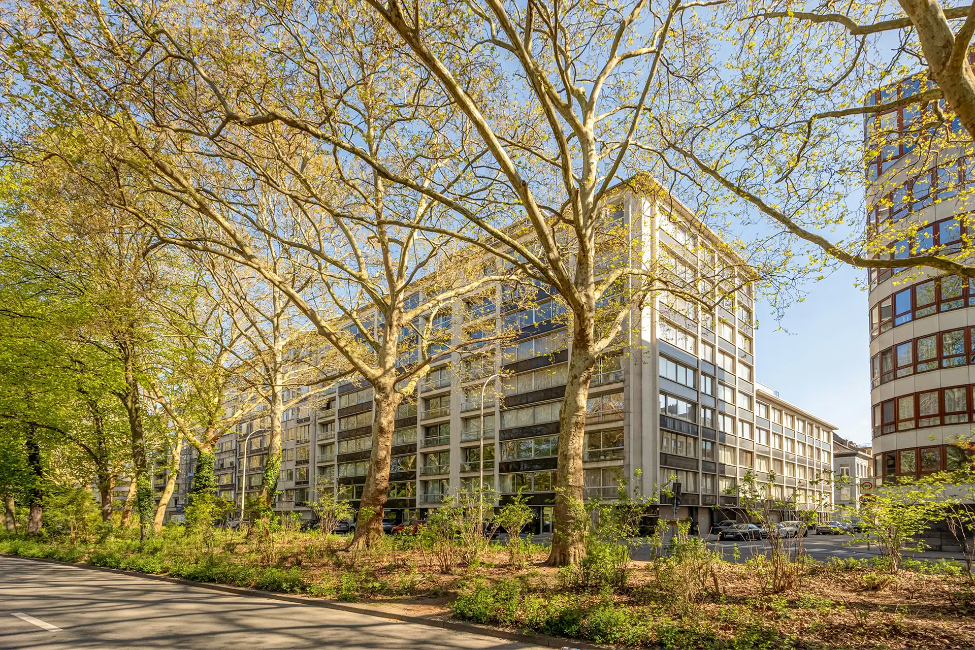 Exclusief hoekapp. met panoramisch zicht over Stadspark foto 21