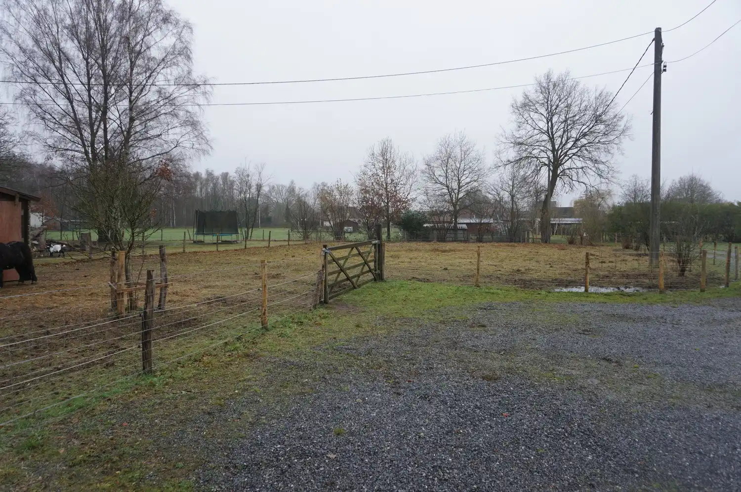 Rustig gelegen gerenoveerde woning in agrarisch gebied te Paal foto 2