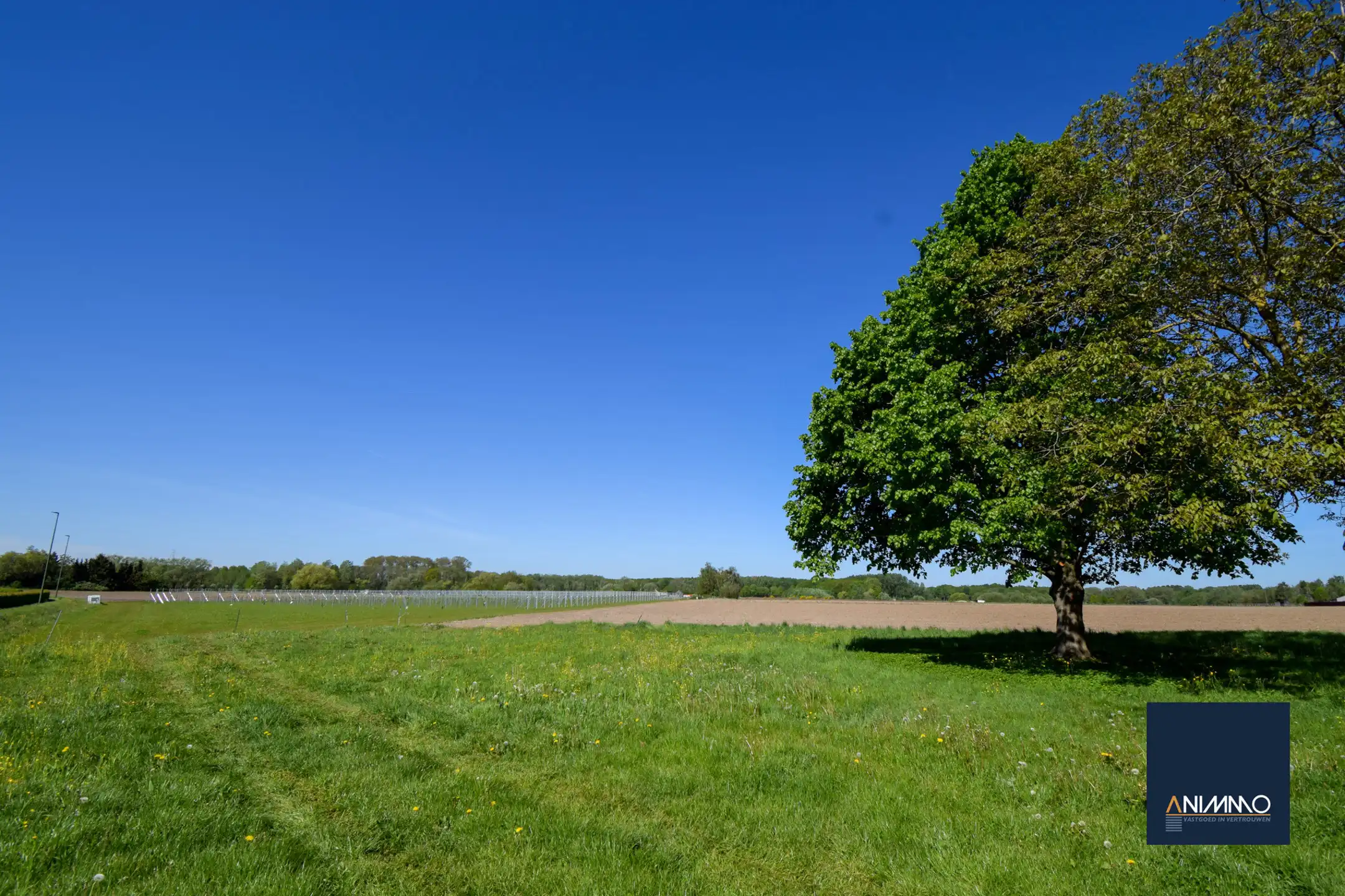 Boerderij te koop foto 6