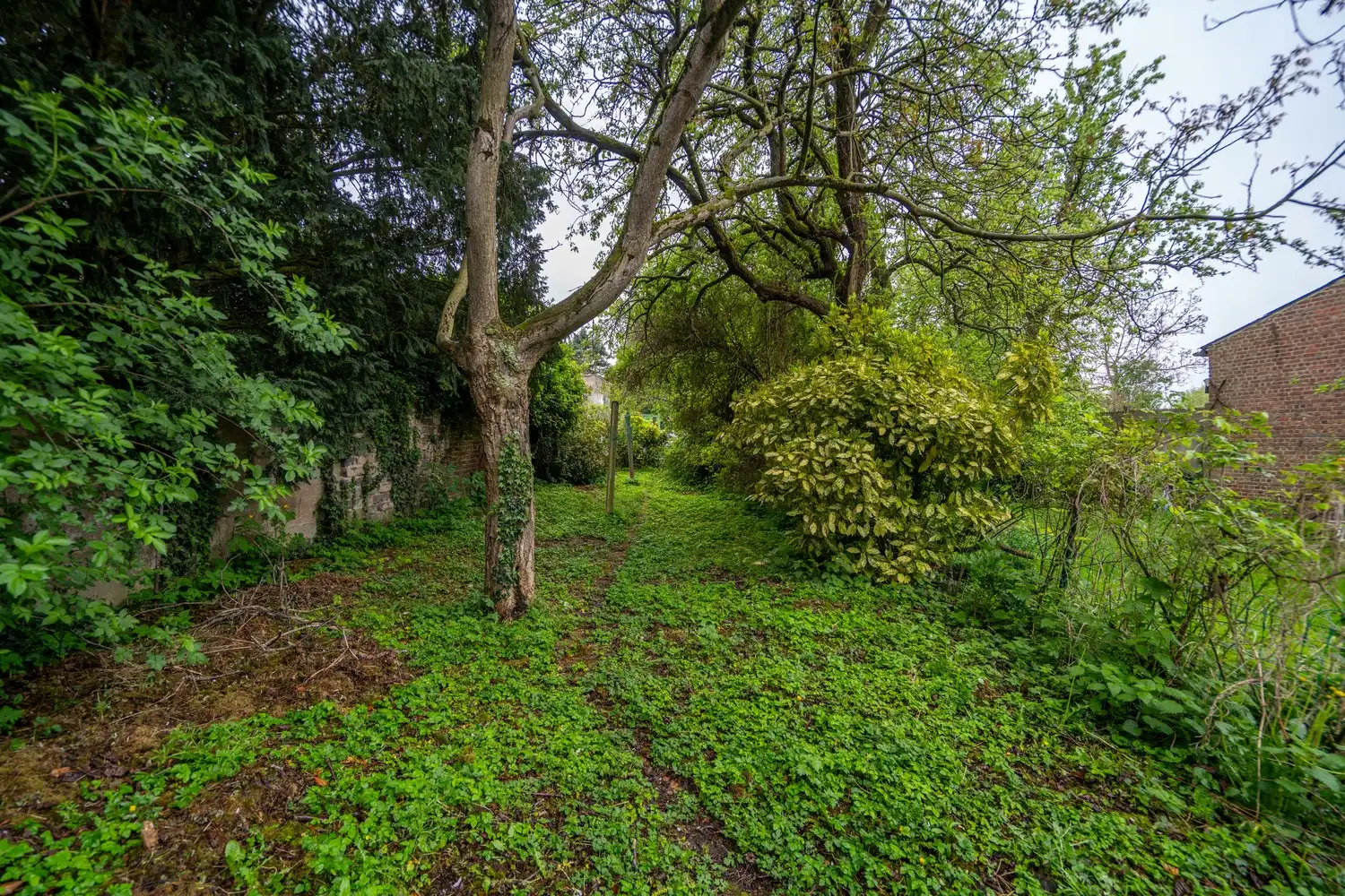 GUL IN BISSEGEM foto 17