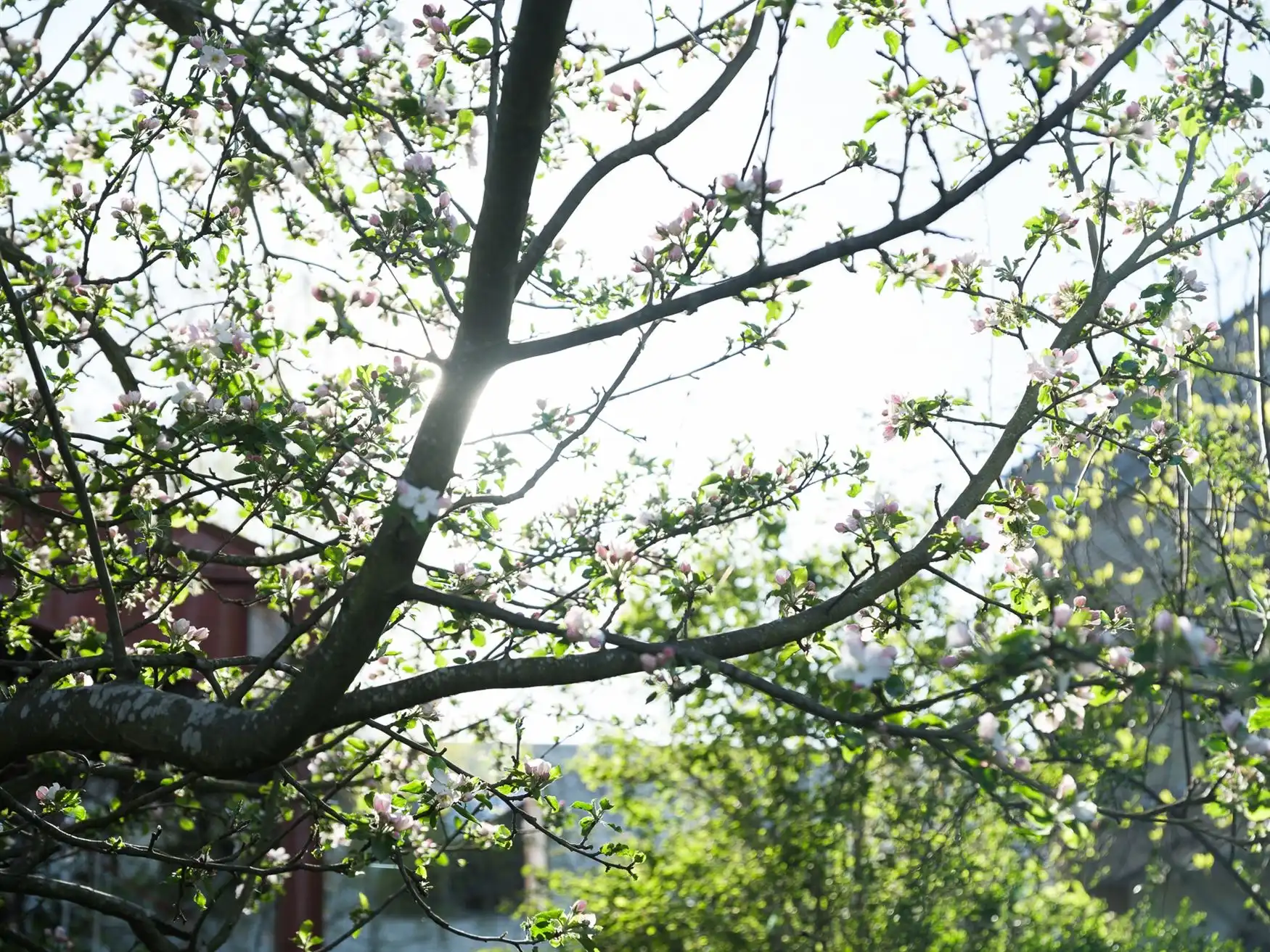 107 m² duplex penthouse met 2 ruime zonterrassen foto 28