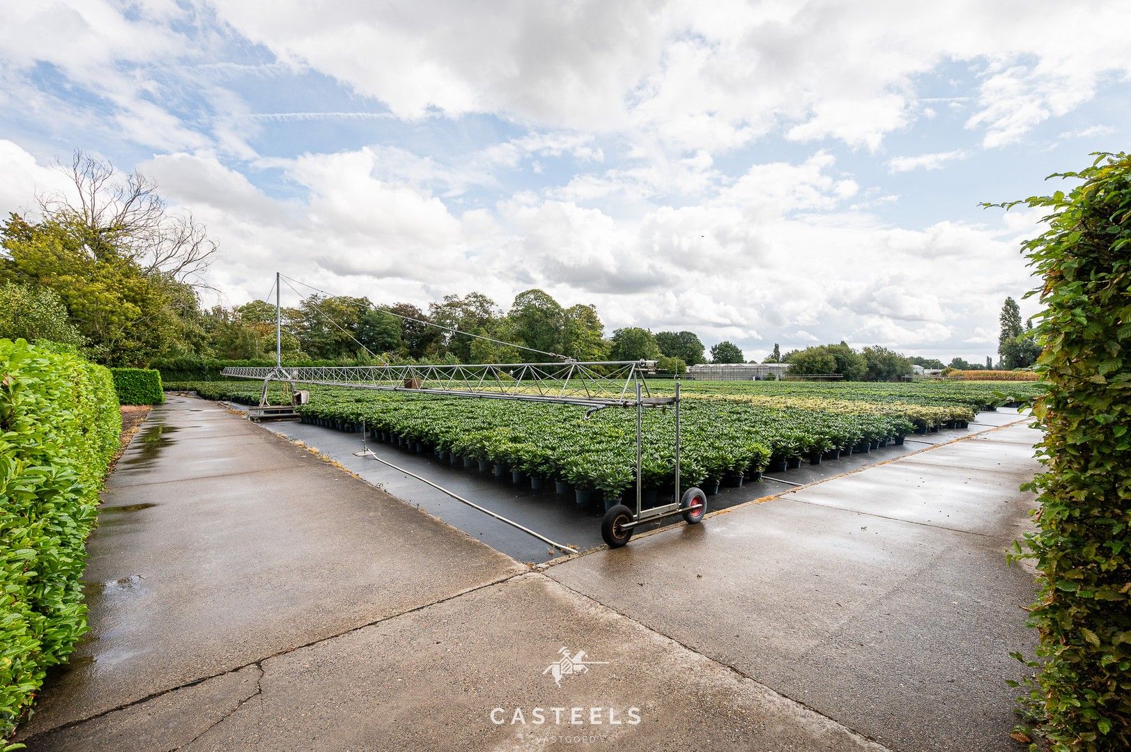 Uitzonderlijke tuinbouwsite in hartje Lochristi - 2,5 hectare met tal van mogelijkheden foto 2