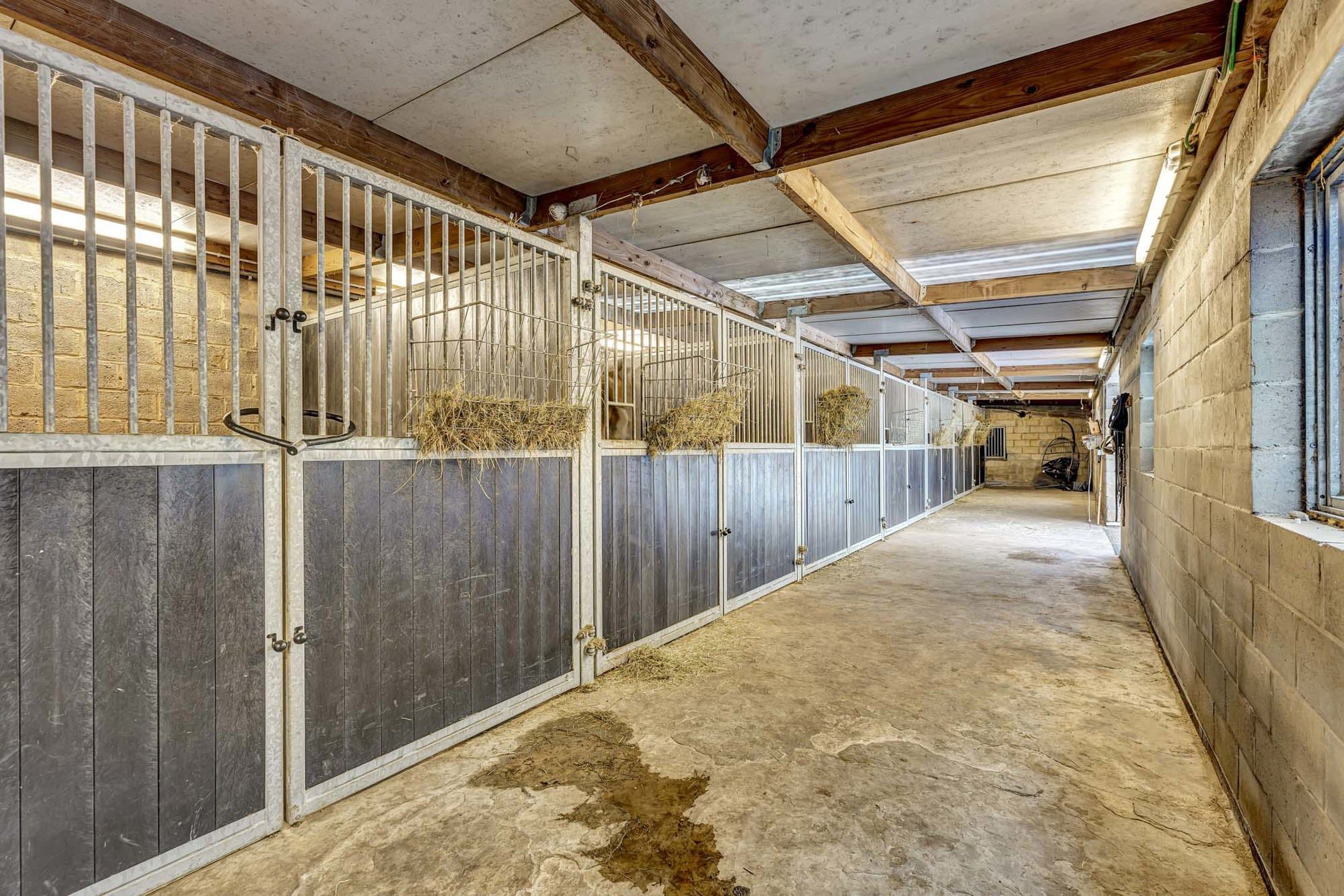 Instapklare woning met paardenaccommodatie te Ninove foto 5
