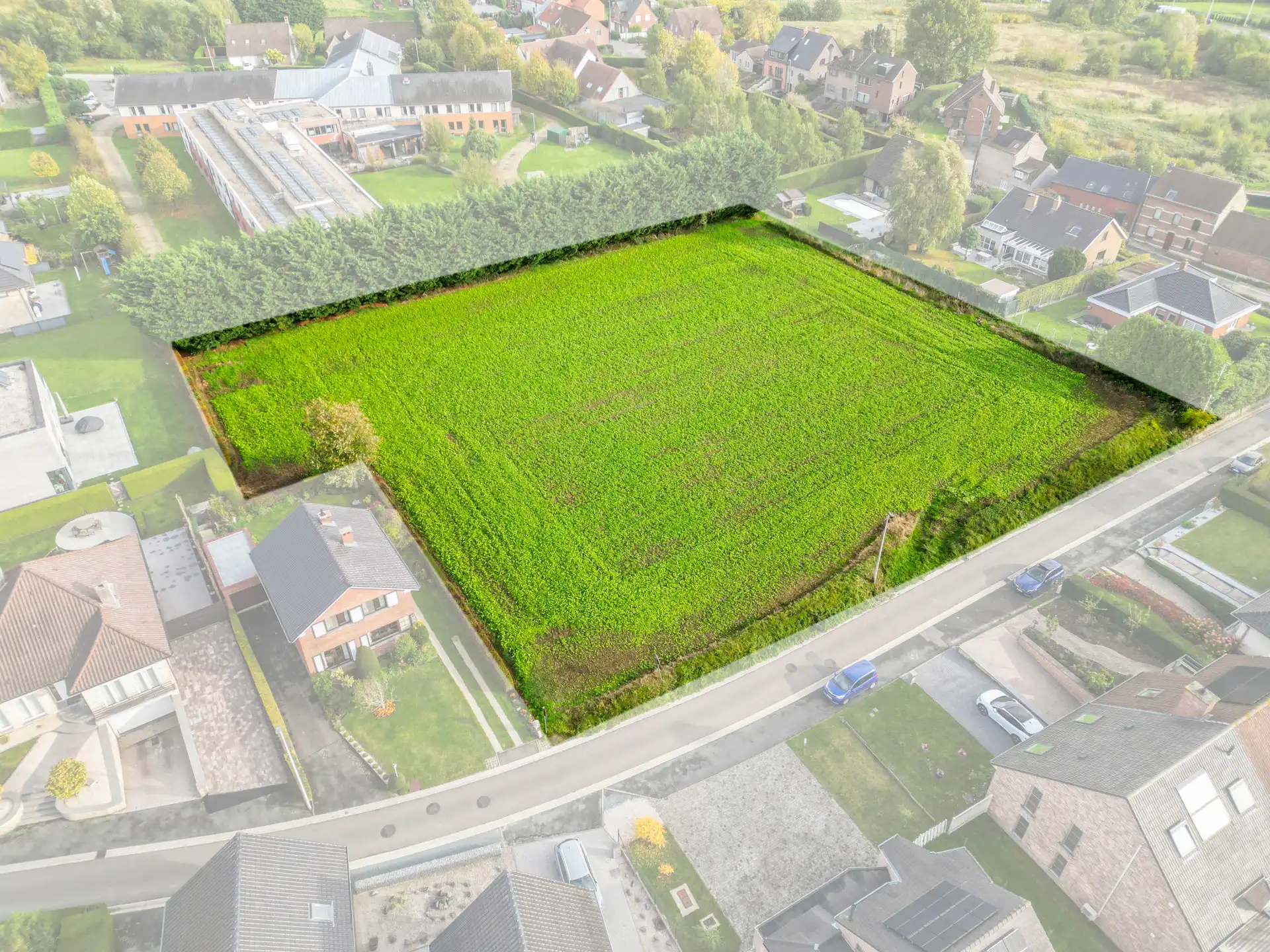 🌳 Investeringsperceel van 50a met verkavelingspotentieel foto {{pictureIndex}}