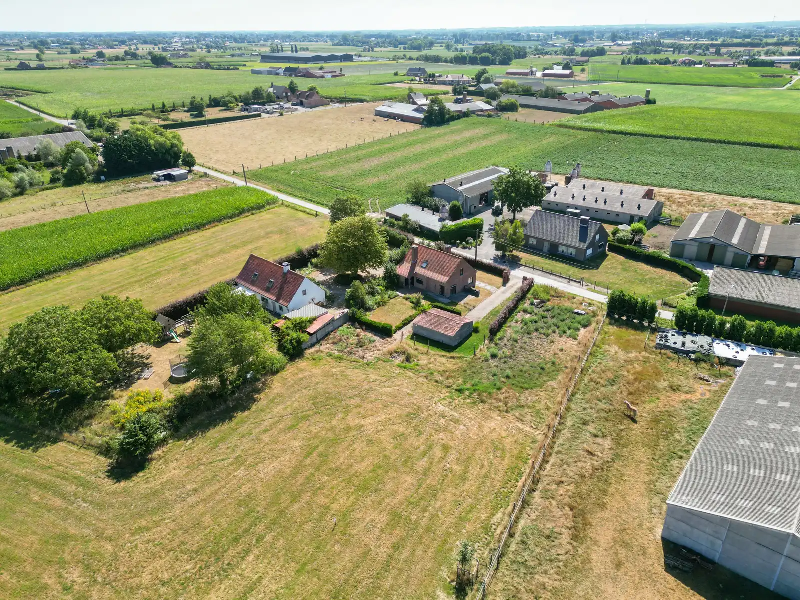 Grondig te renoveren woning met bijgebouwtje op ca 1.800 m² foto 31