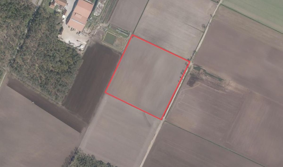 Blok van 4 ha landbouwgrond te koop te Arendonk foto {{pictureIndex}}