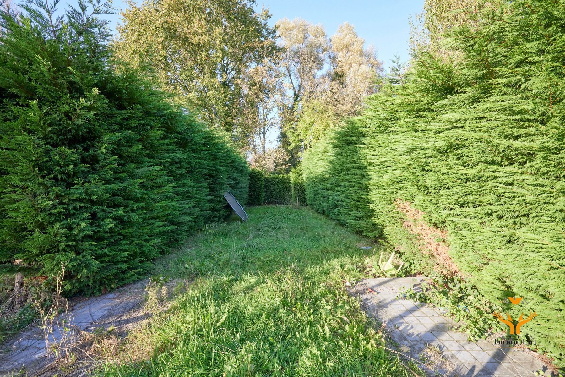 Gezellige woning met tuin nabij het centrum van Berlare foto 12