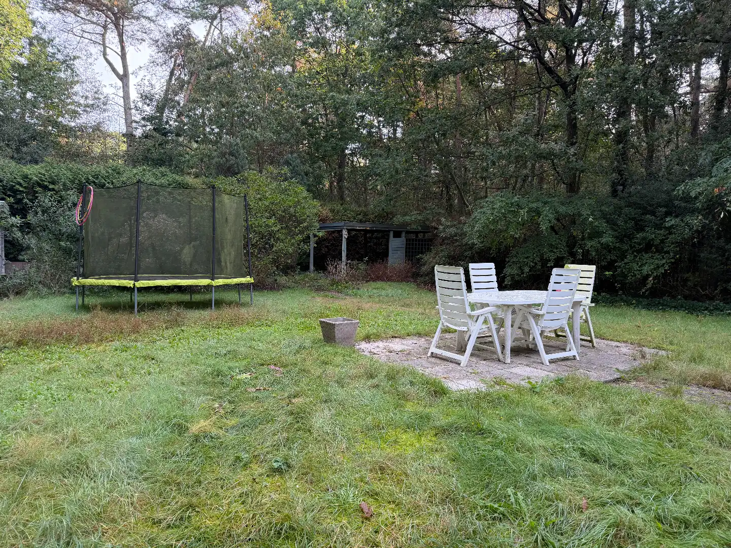 Rustig wonen midden in de bossen op een perceel van 2.005 m² in Schilde foto 19