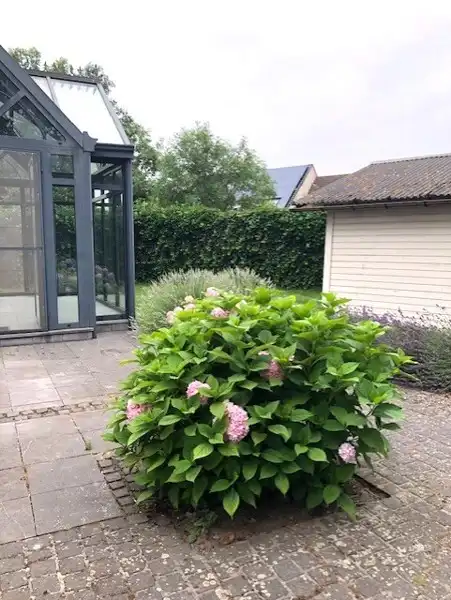 Ruime energiezuinige woning te huur op een rustige ligging foto 23