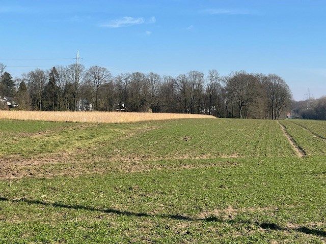 Perceel gelegen in agrarisch gebied foto 2