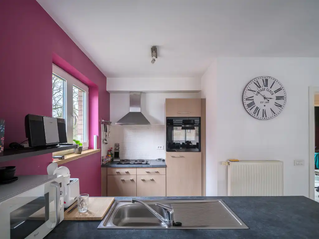 Gentbrugge - Licht op te frissen appartement met 2 slaapkamers en terras. foto 7