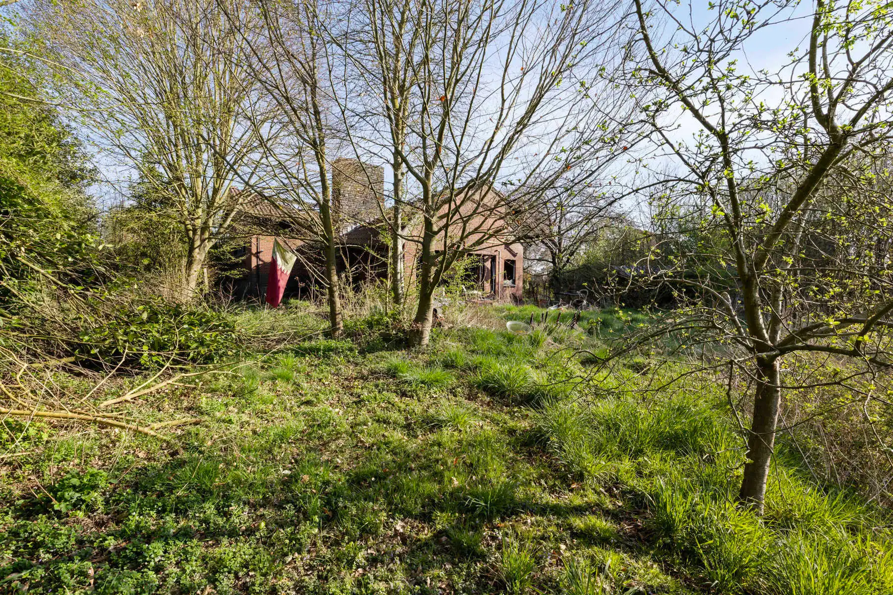 OPTIE Uitzonderlijk perceel bouwgrond met afgebrande woning foto 7