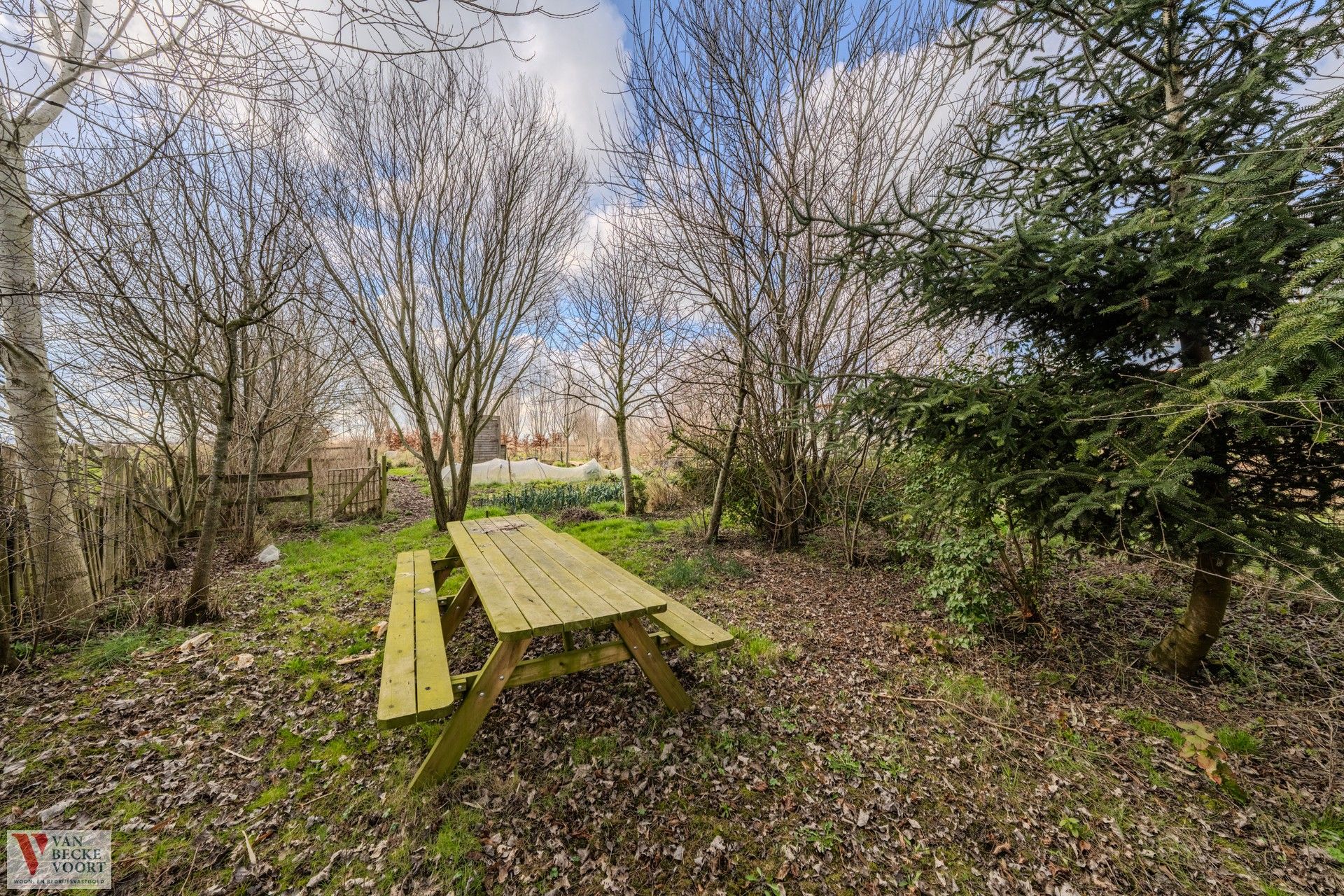 Te renoveren hoeve op 1,6 ha foto 20