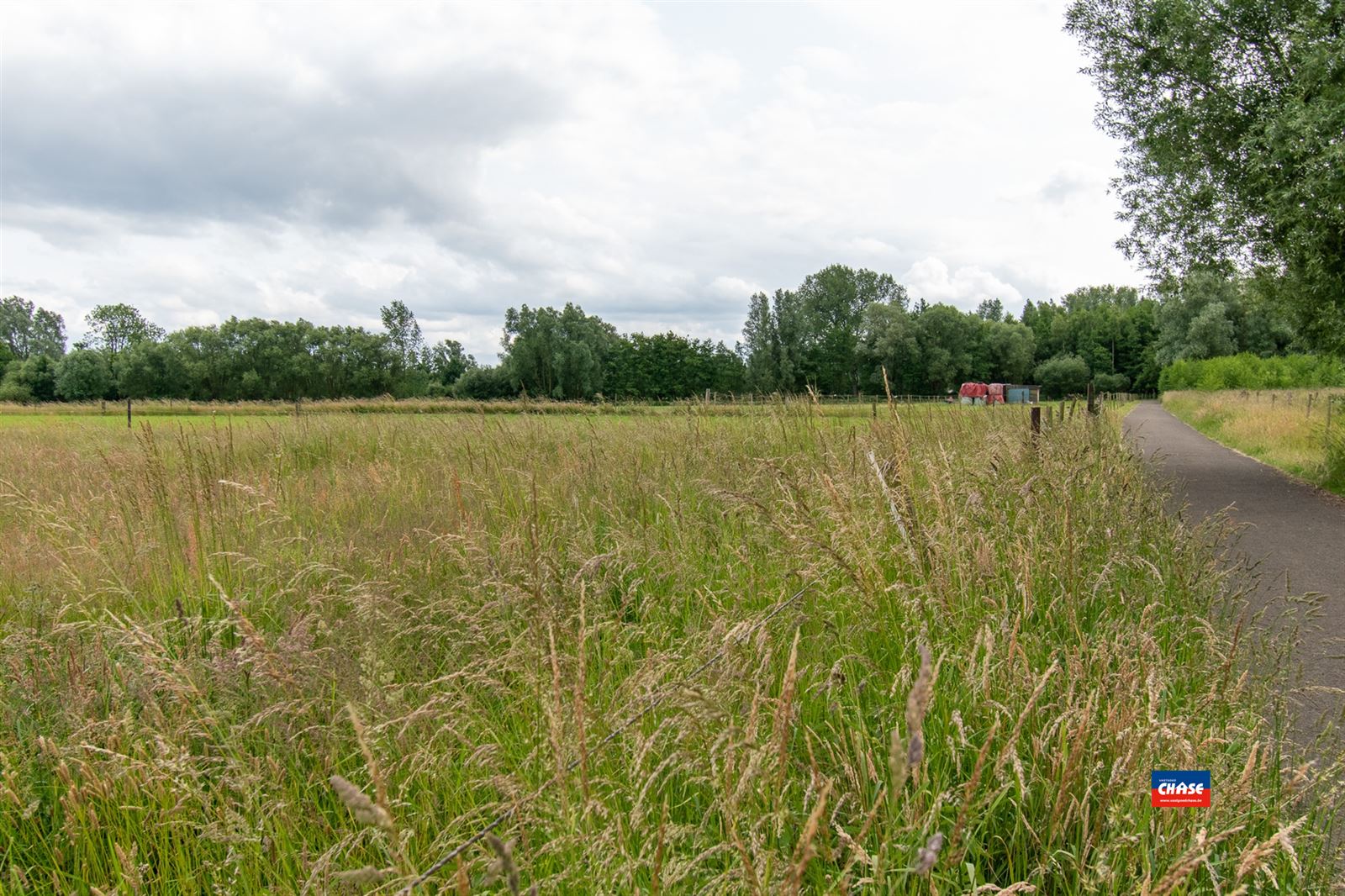 PRACHTIG LANDHUIS MET PRAKTIJKMOGELIJKHEDEN EN ZWEMBAD OP EEN TOTALE OPPERVLAKTE VAN 10a 50ca  foto 42