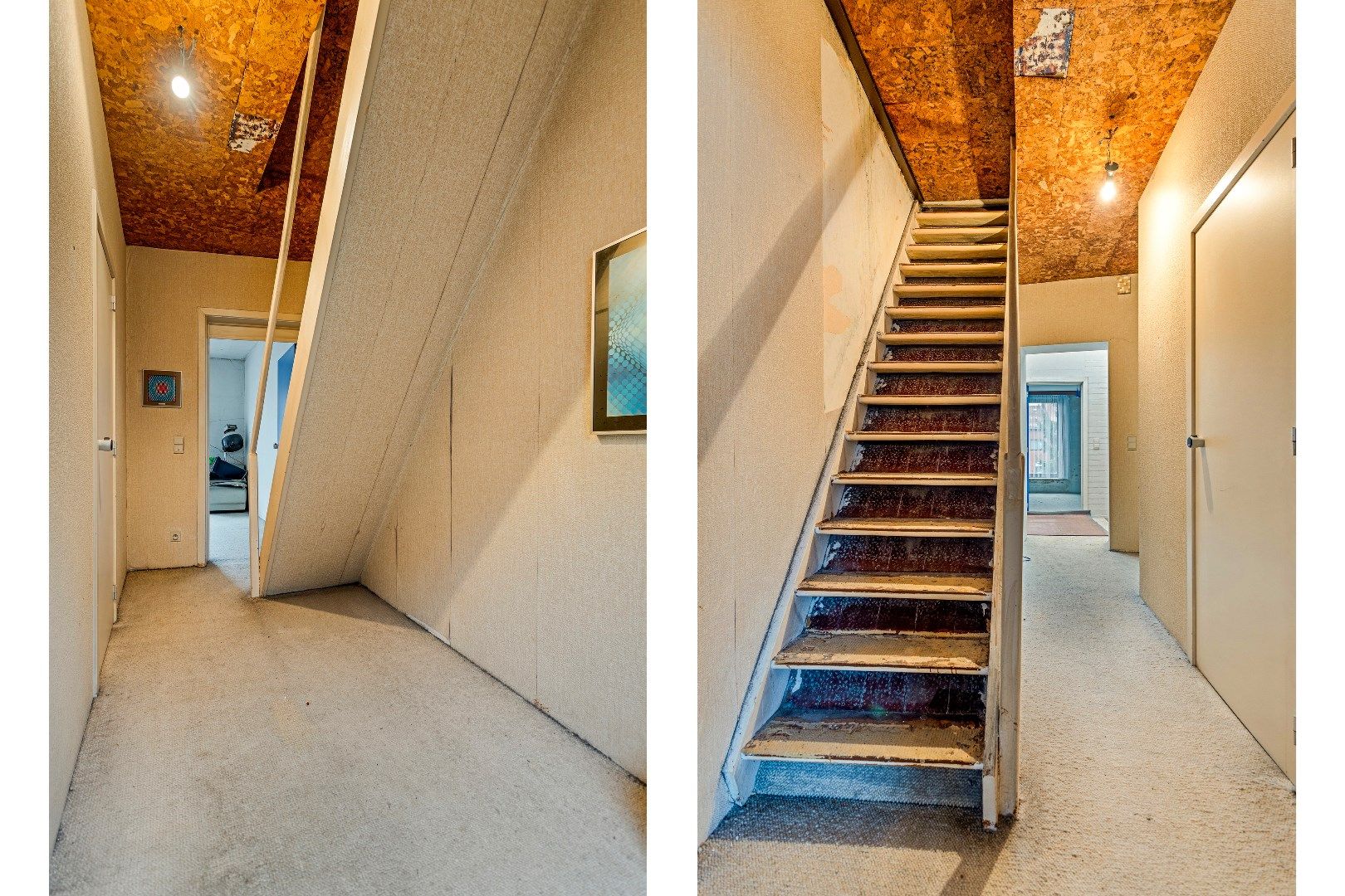 Handelspand met woonst gelegen te Halle foto 14